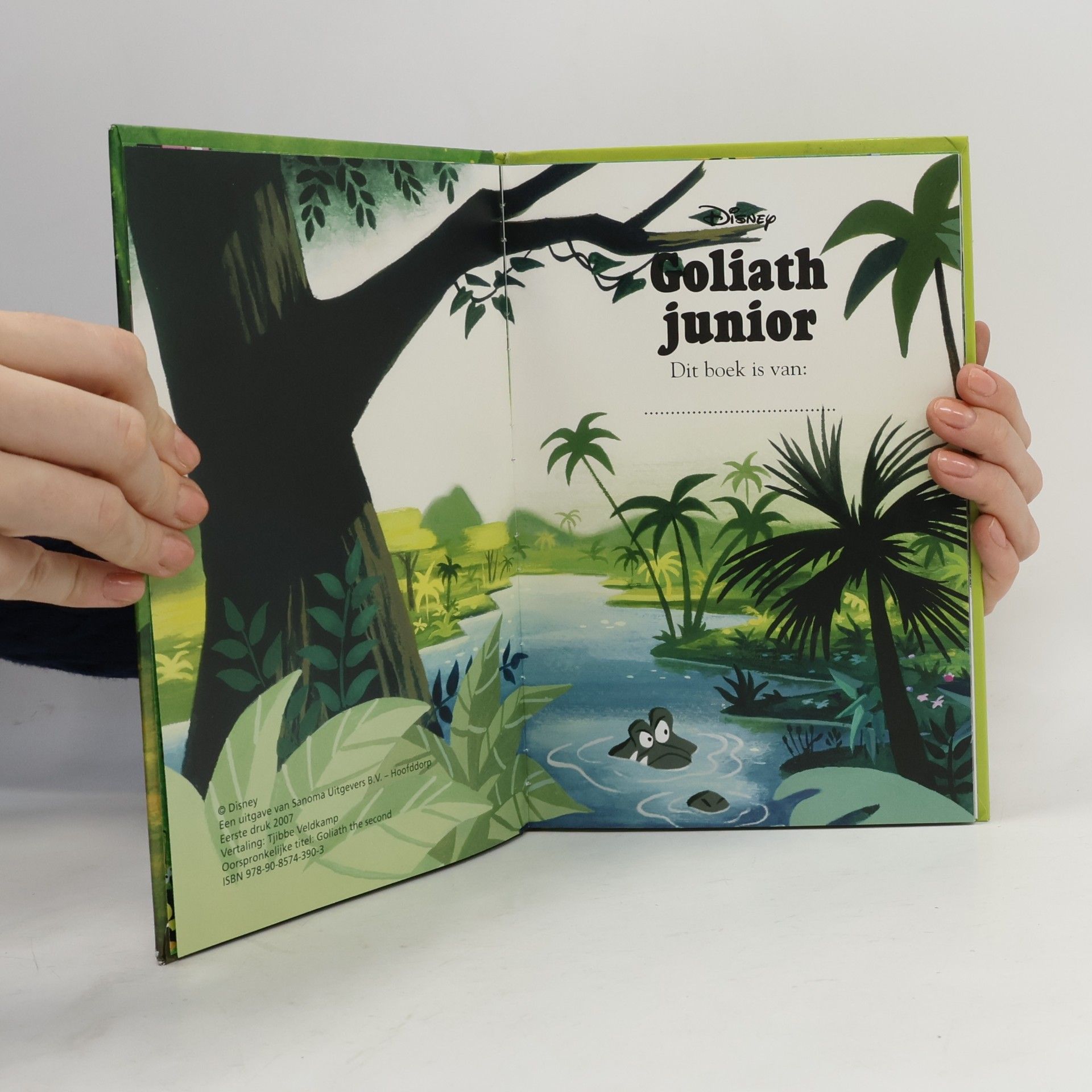 Walt Disney Company Disney Club: Goliath Junior