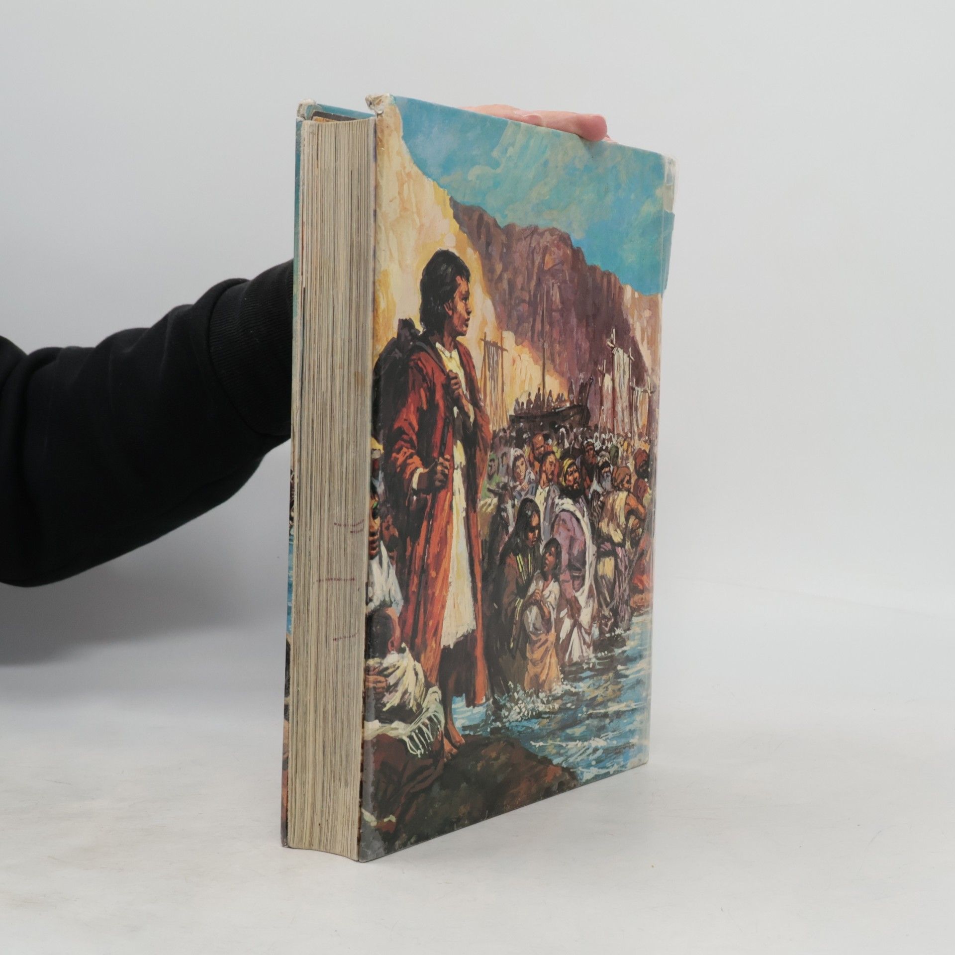 Various authors Die große farbige Kinder-Bibel