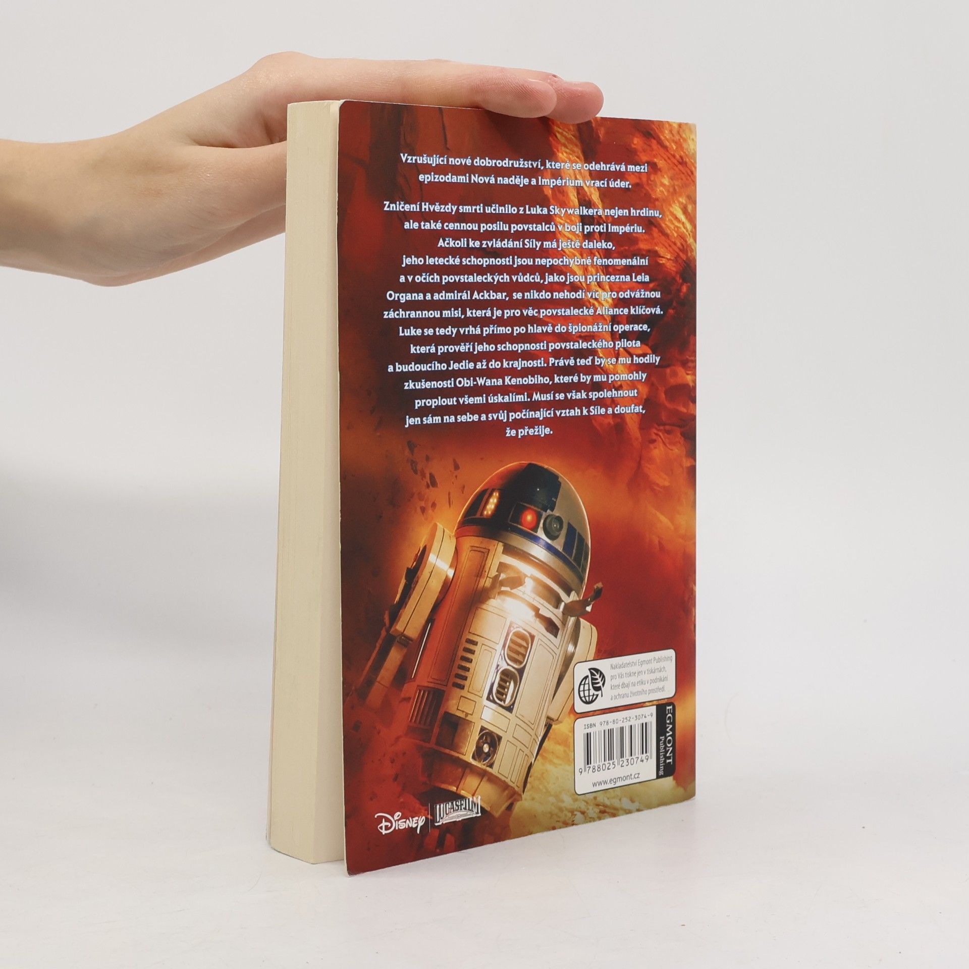Kevin Hearne Star wars. Dědic rytířů Jedi