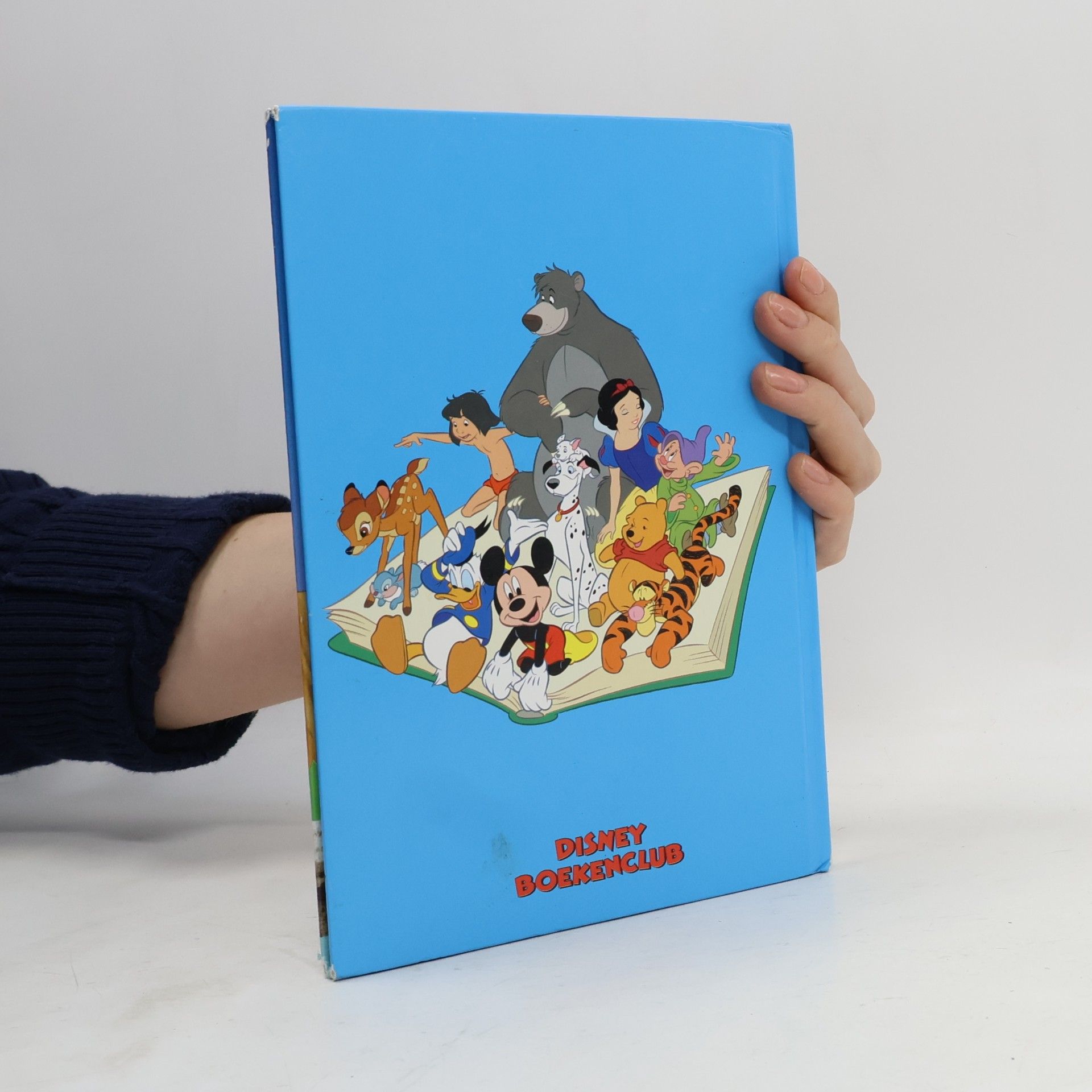 Walter Elias Disney Disney Club: Donald Duck's nieuwe zwembad