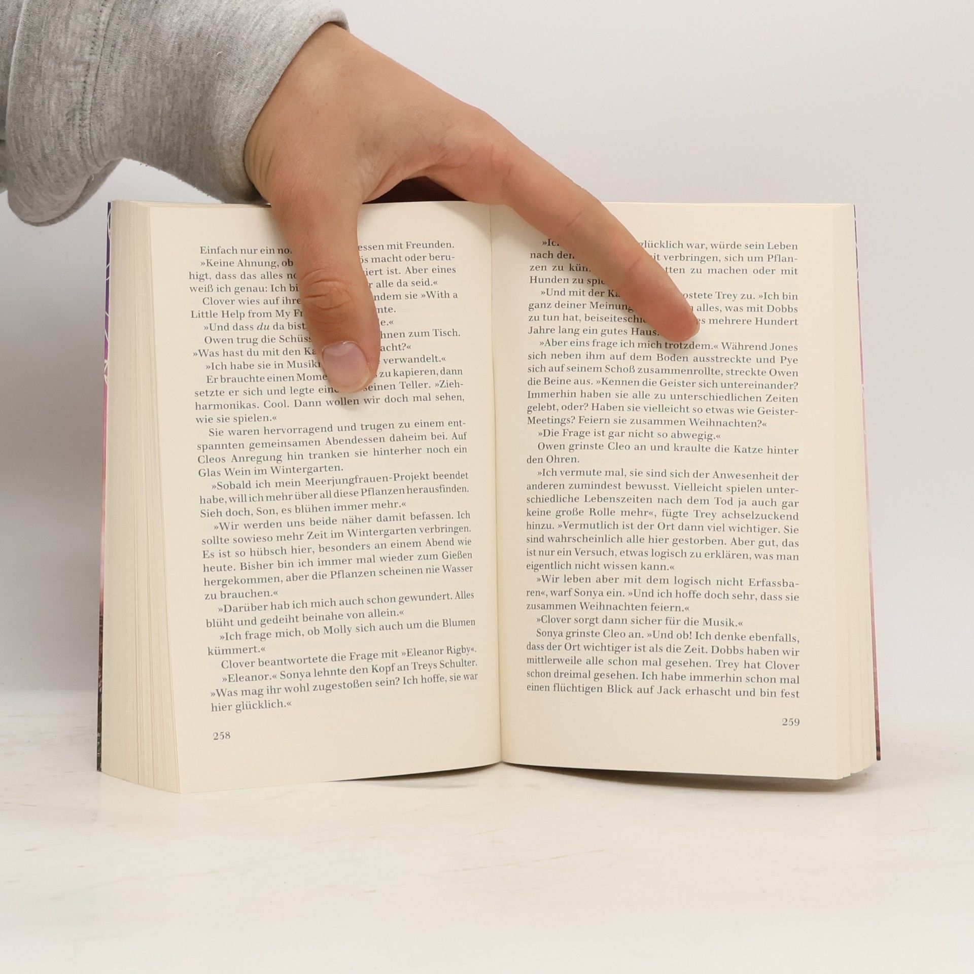 Nora Roberts Abendlicht