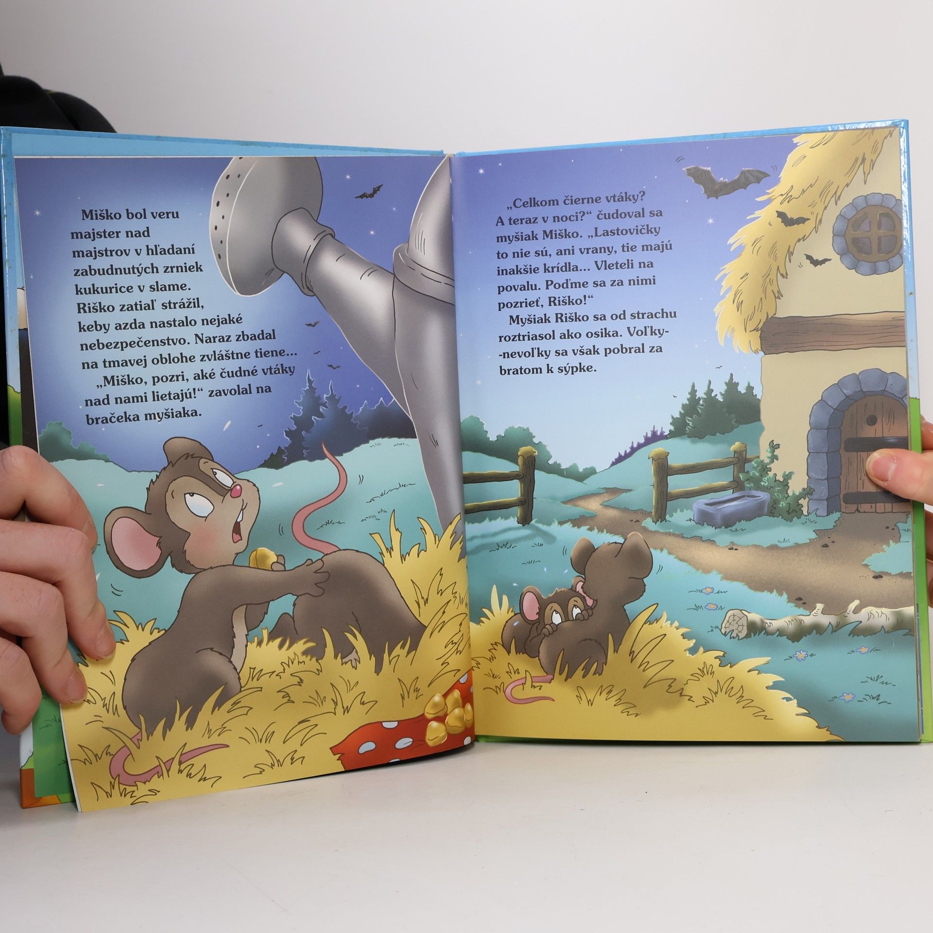 Autorenkollektiv Dobrodružstvá z dvora veselého gazdu Fera
