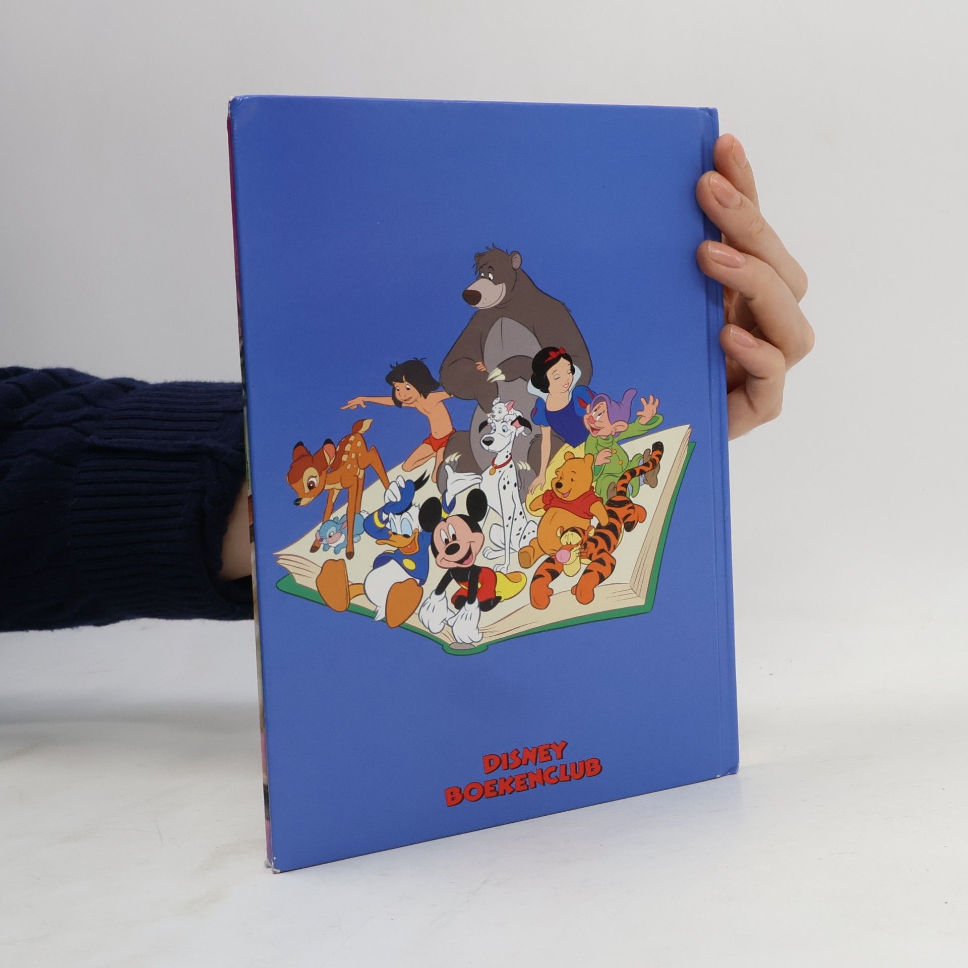 Walt Disney Doornroosje