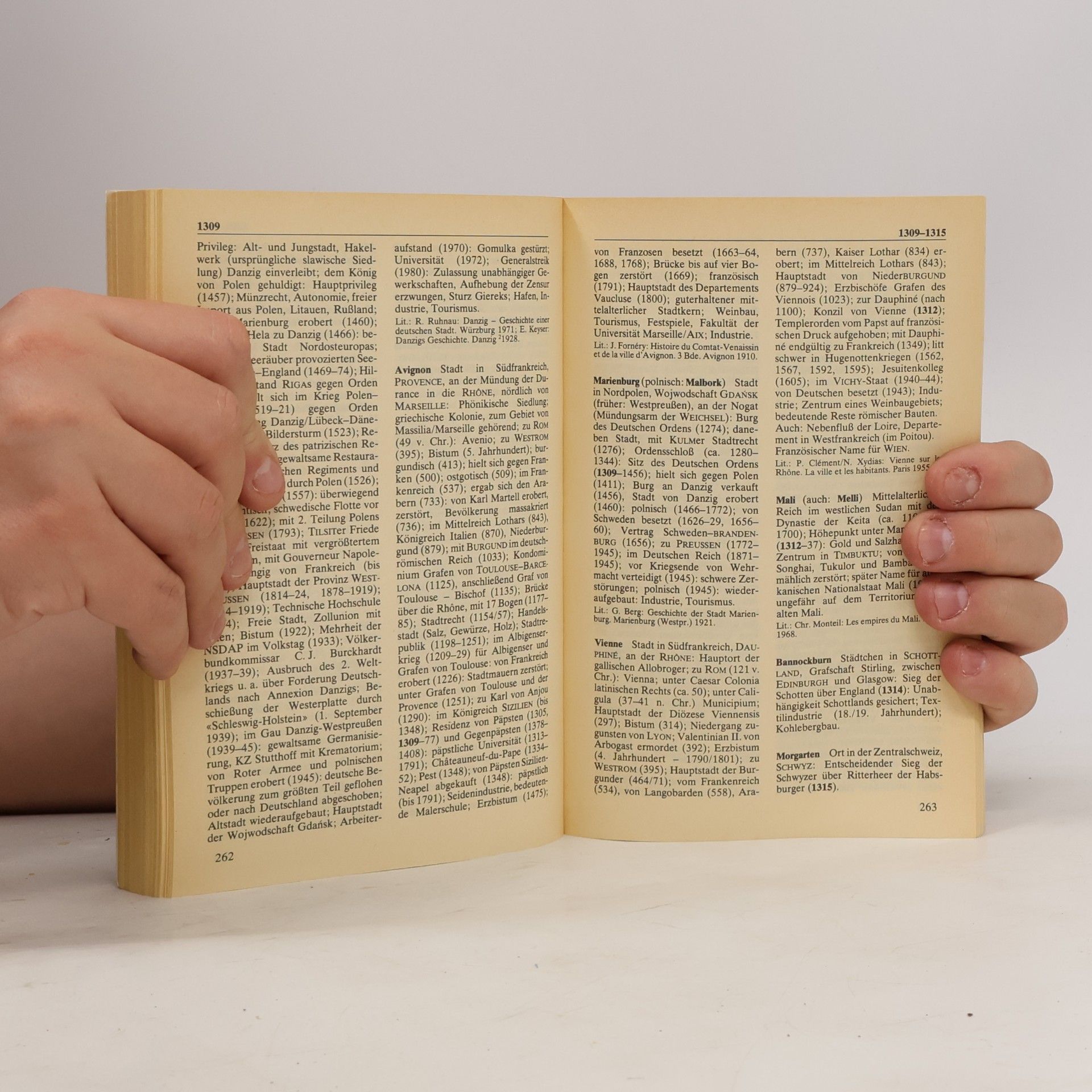 Imanuel Geiss Geschichte griffbereit. Tl.3. Schauplätze. Die geograph. Dimension d. Weltgeschichte