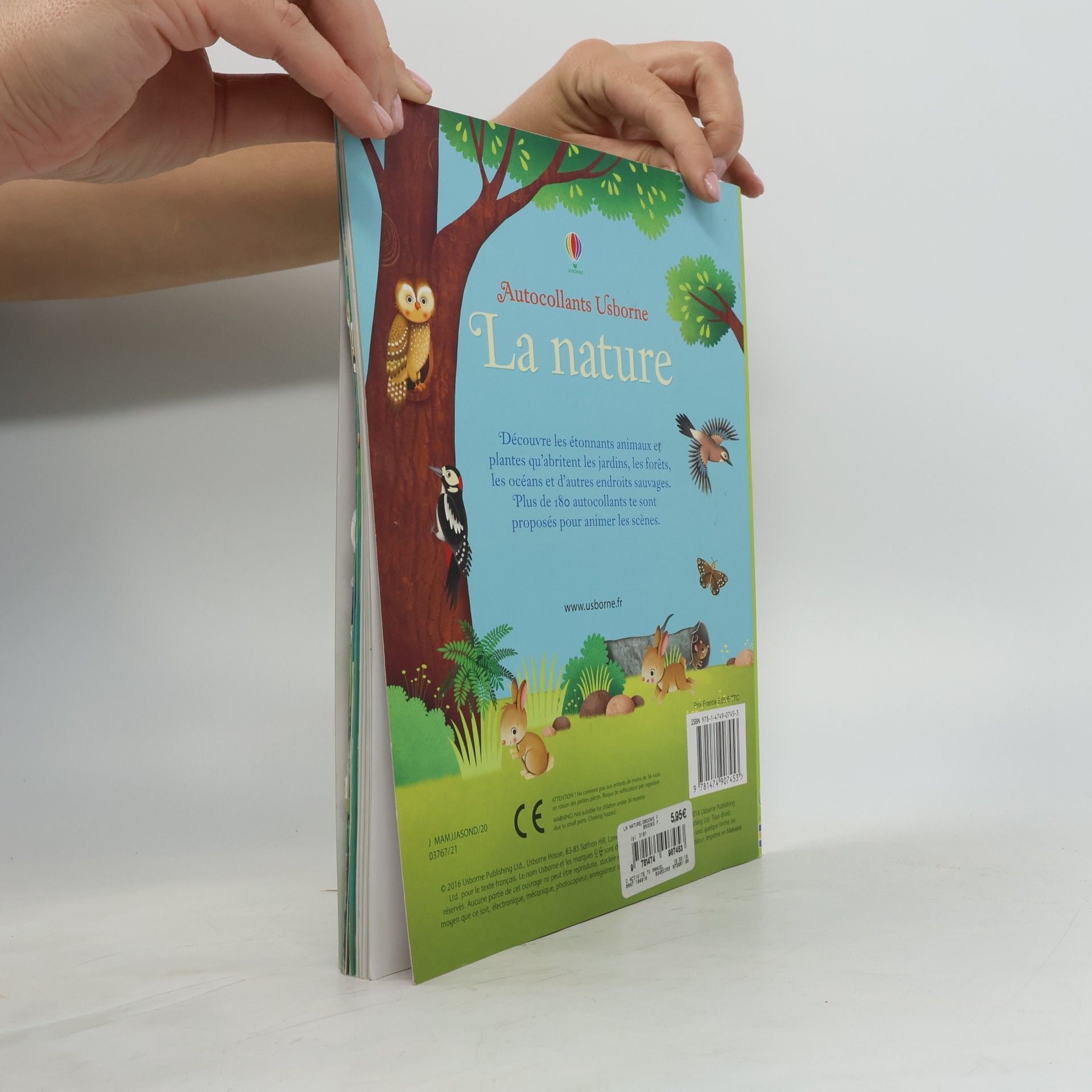 Felicity Brooks Autocollants Usborne: La nature