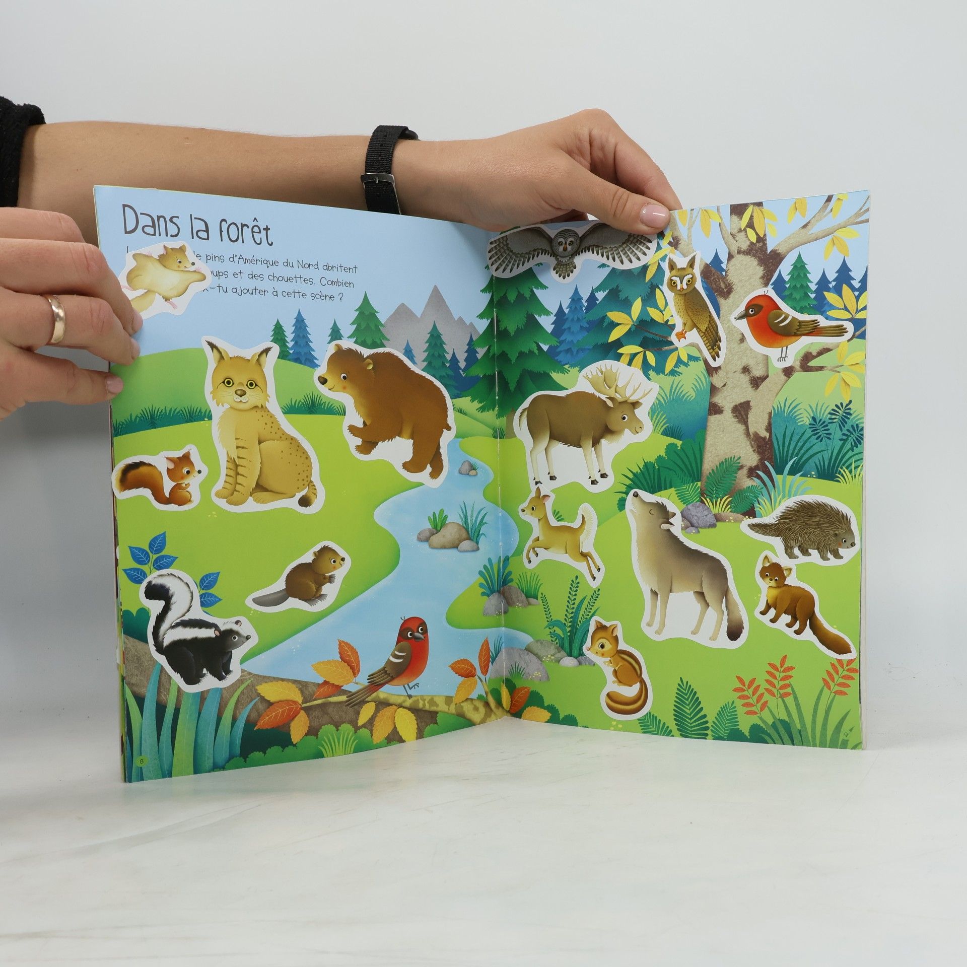 Felicity Brooks Autocollants Usborne: La nature