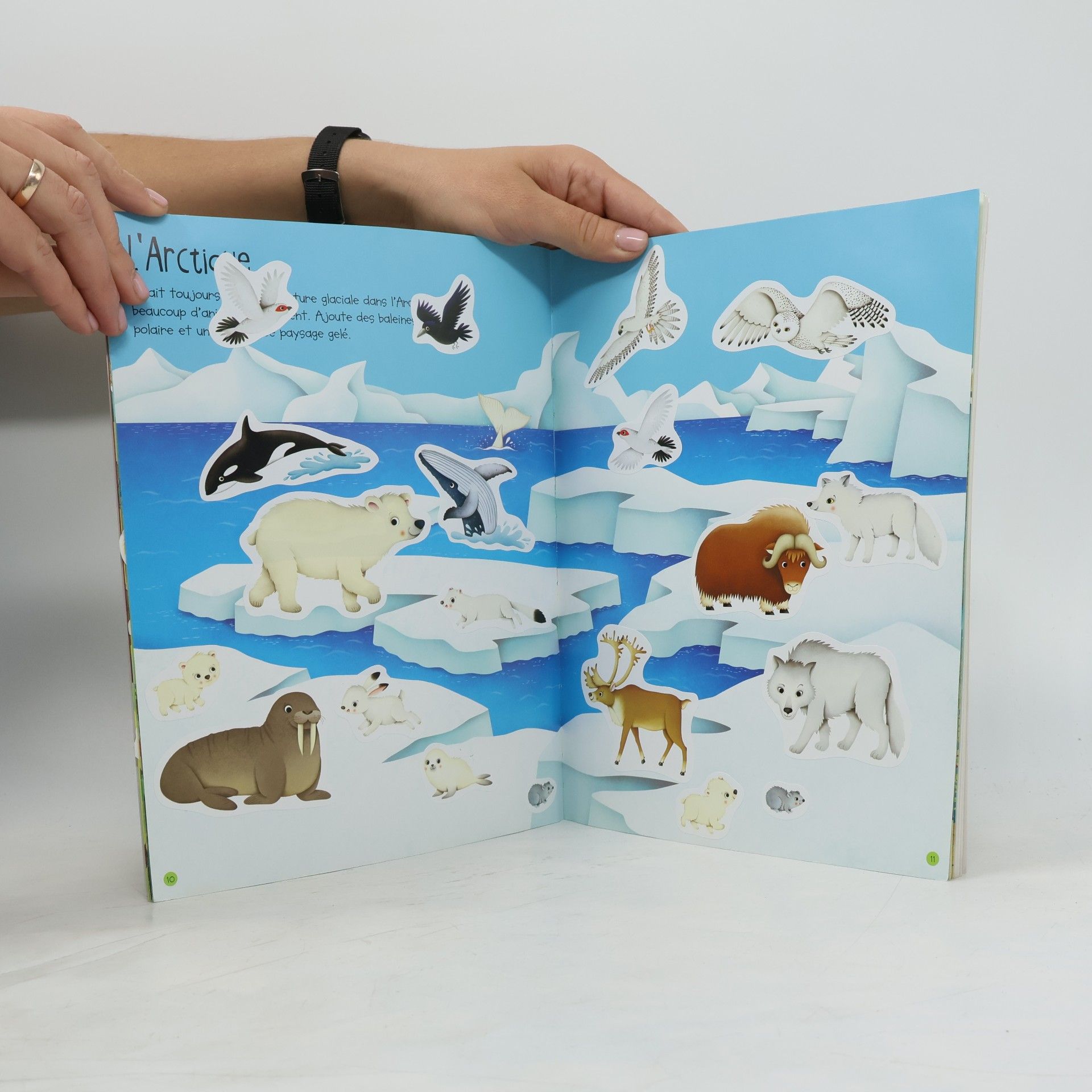 Felicity Brooks Autocollants Usborne: La nature