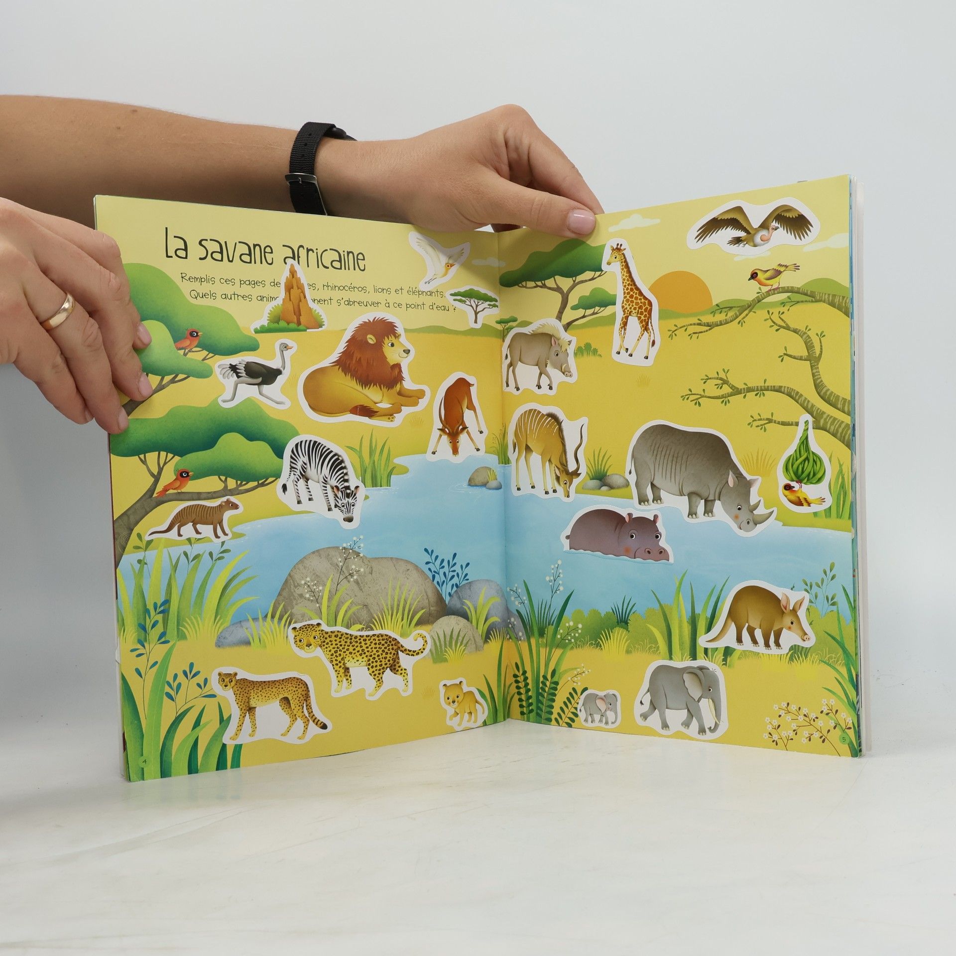 Felicity Brooks Autocollants Usborne: La nature