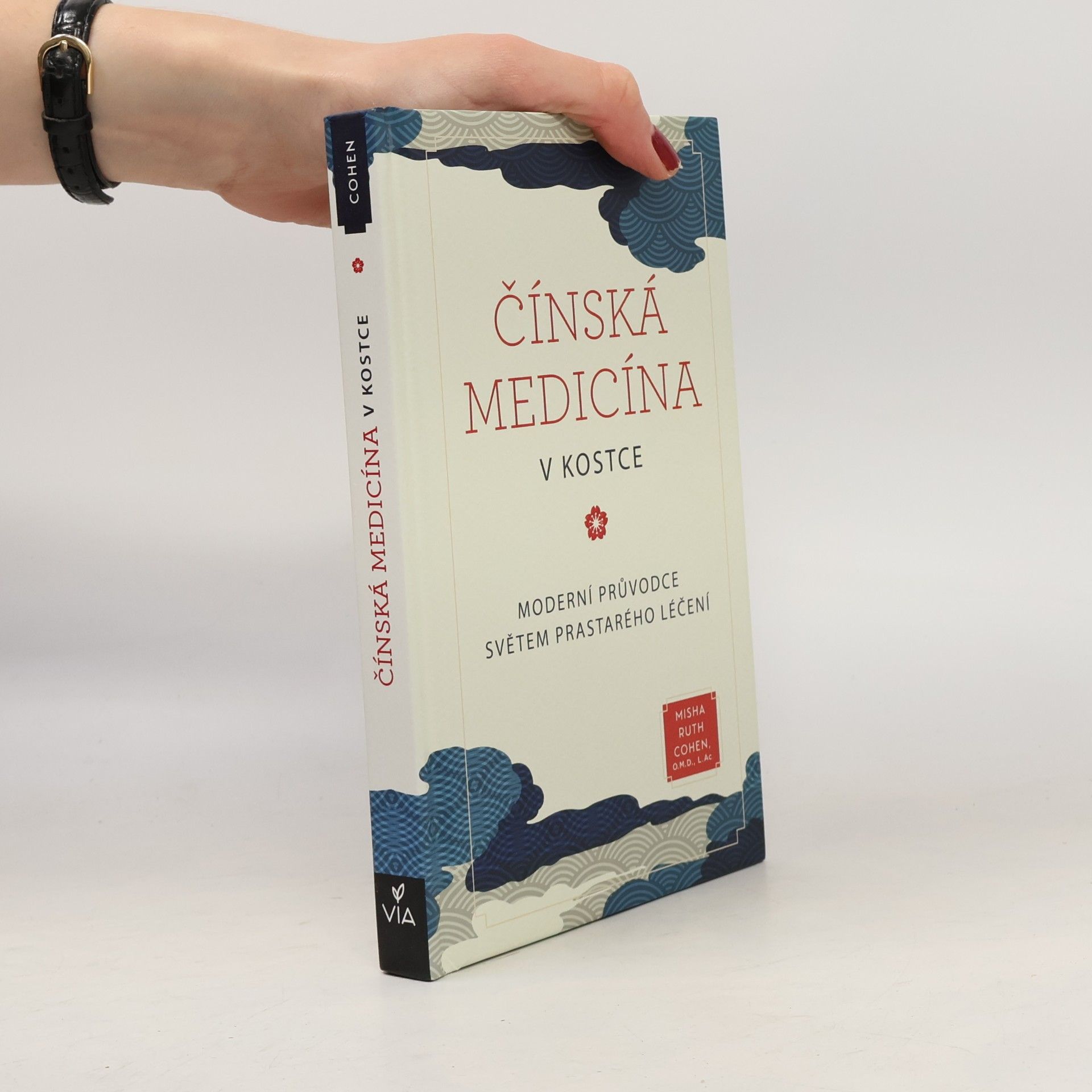 Čínská medicína v kostce : moderní průvodce světem prastarého léčení