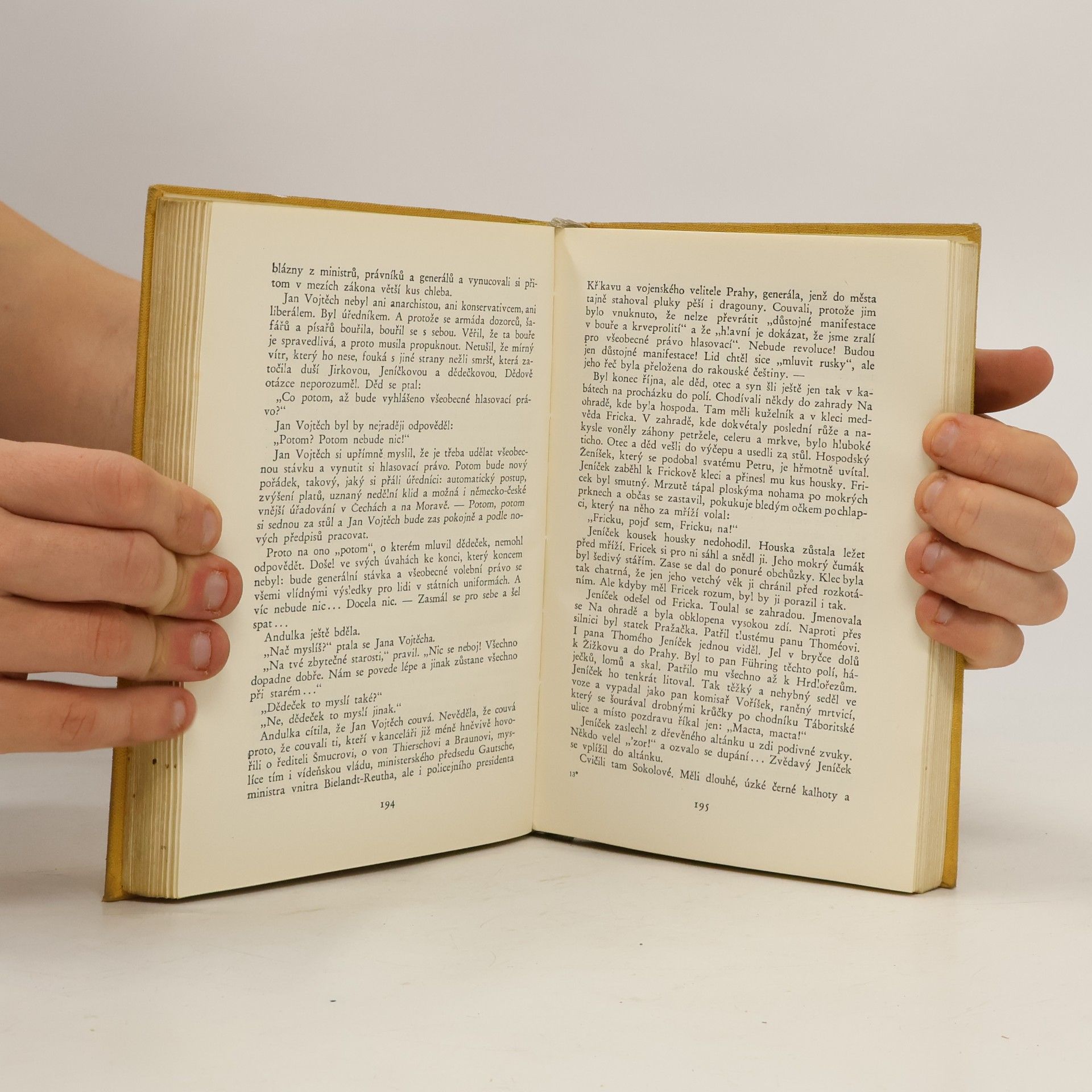 František Kubka Hnízdo v bouři