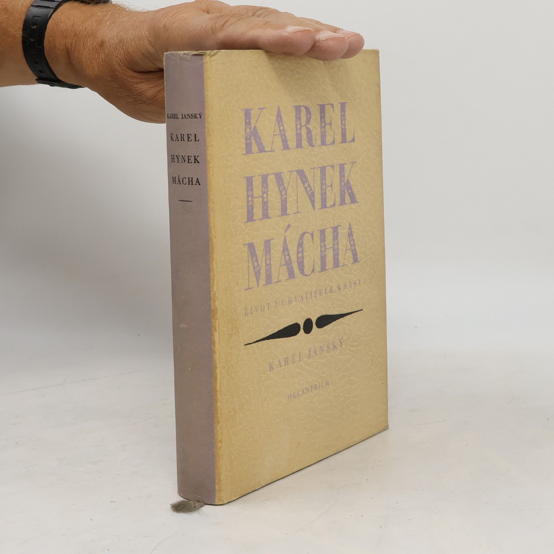 Karel Hynek Mácha. Život uchvatitele krásy