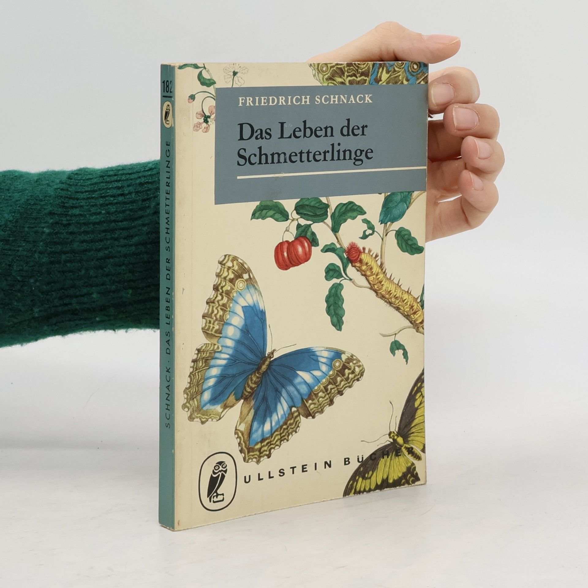 Das Leben der Schmetterlinge