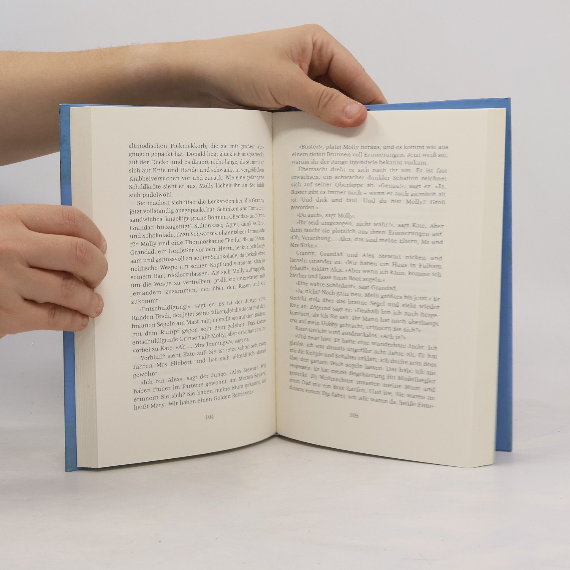 Susan Cooper Victory. Die Geschichte von Molly und Sam