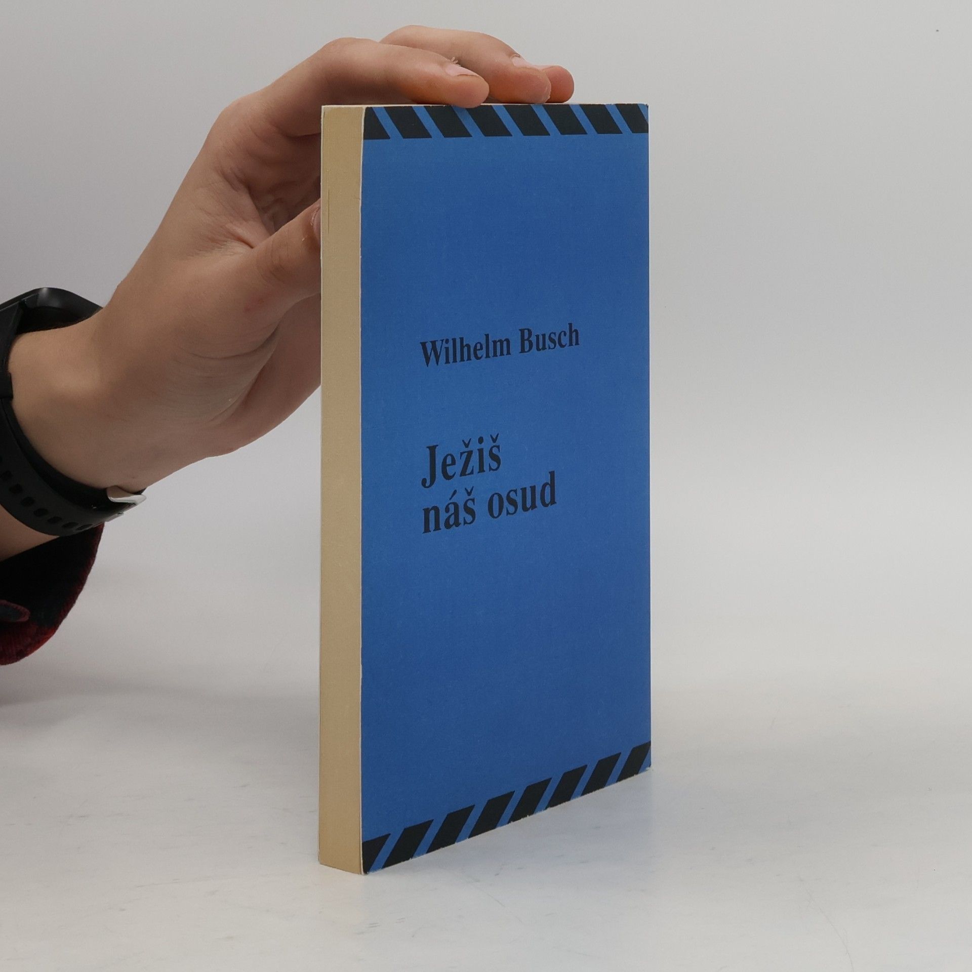 Wilhelm Busch Ježiš náš osud