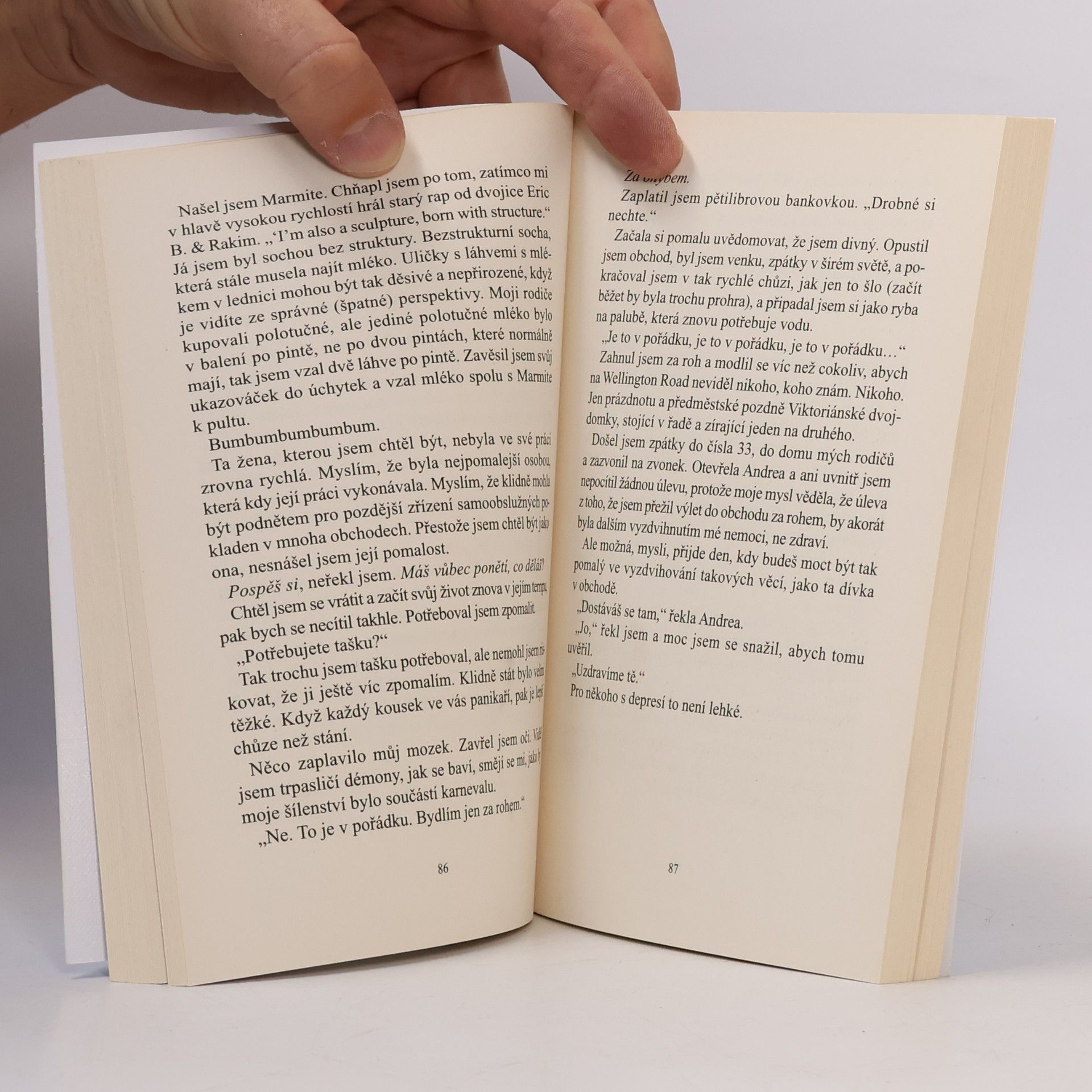 Matt Haig Důvody, proč zůstat naživu