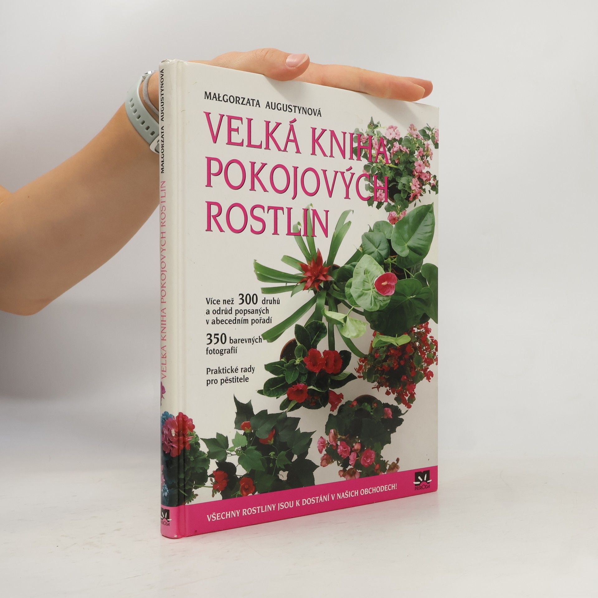 Małgorzata Augustyn Velká kniha pokojových rostlin