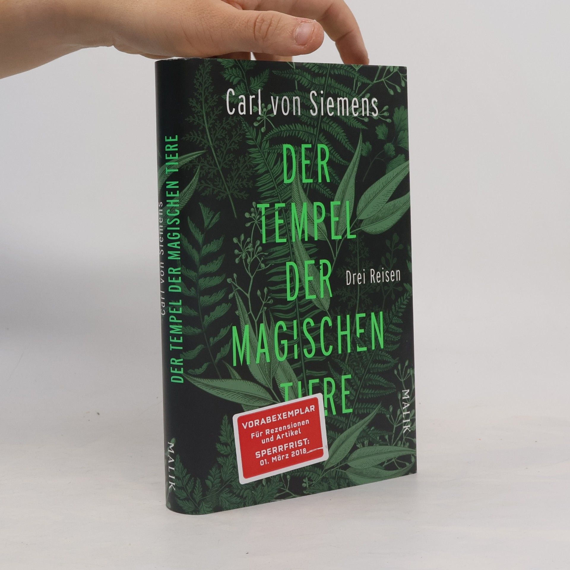 Carl von Siemens Der Tempel der magischen Tiere