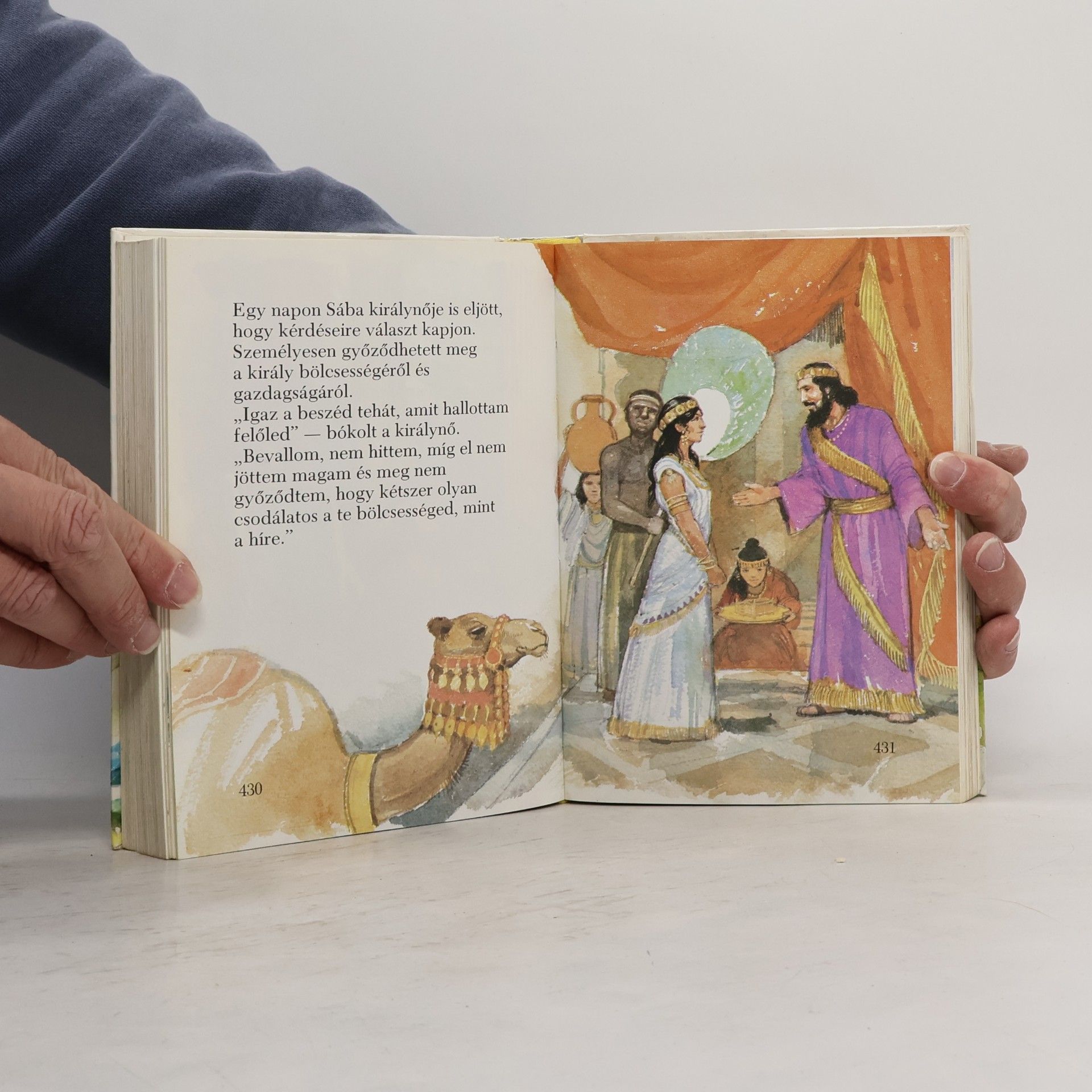 Képes Biblia