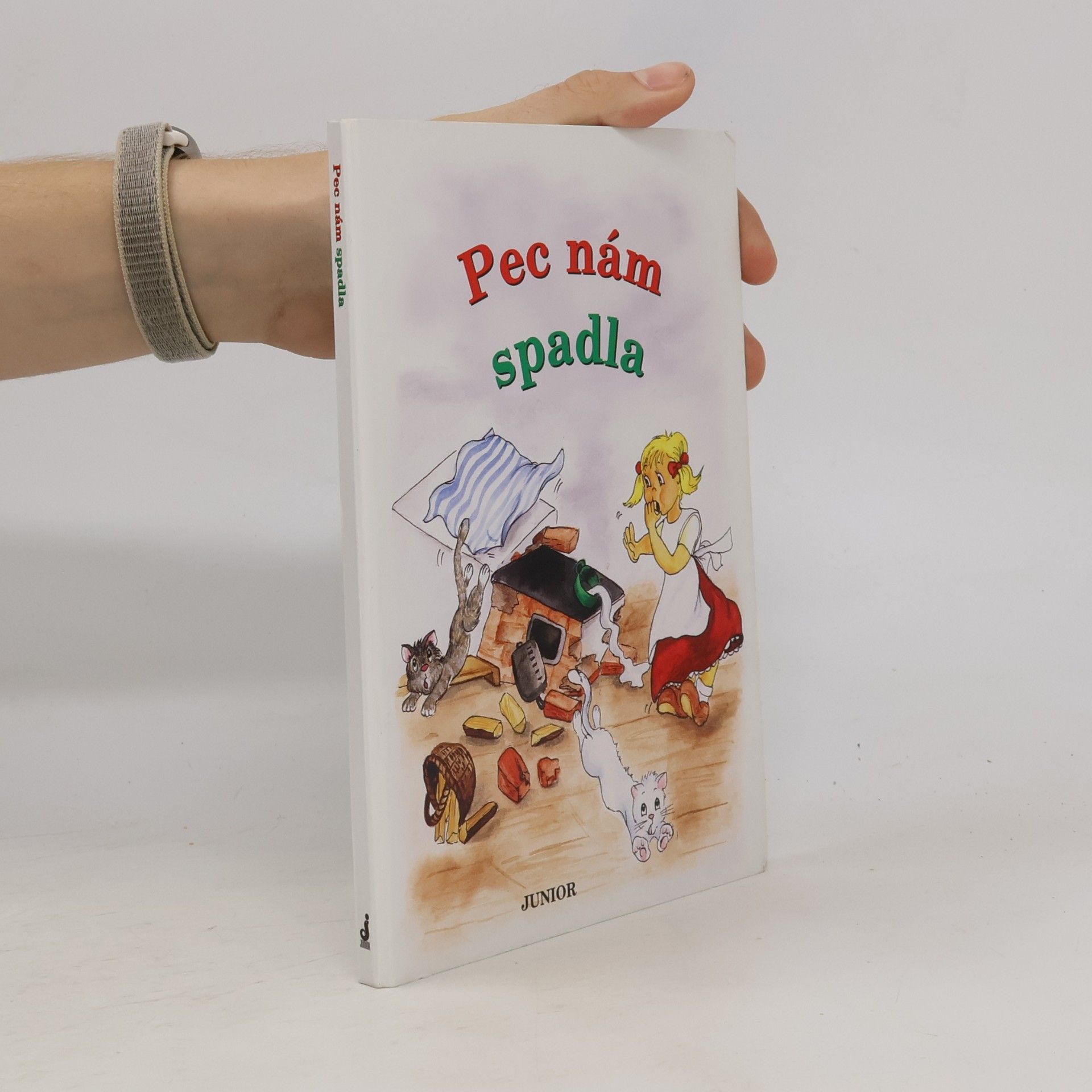 Pec nám spadla (leporelo)