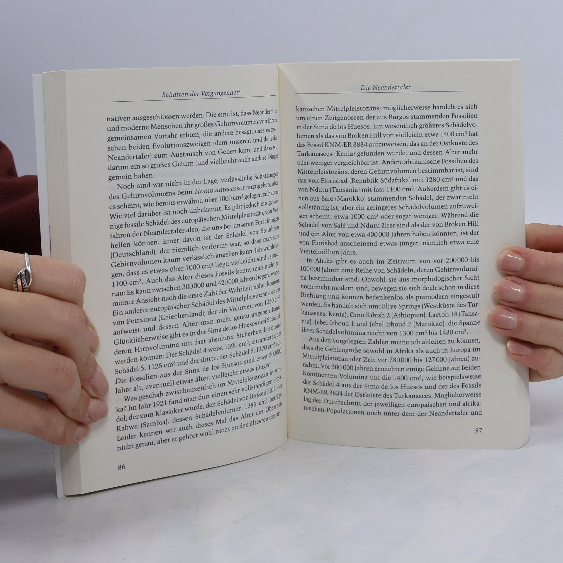 Juan Luis Arsuaga Piper Taschenbuch - 4746: Die Welt des Neandertalers