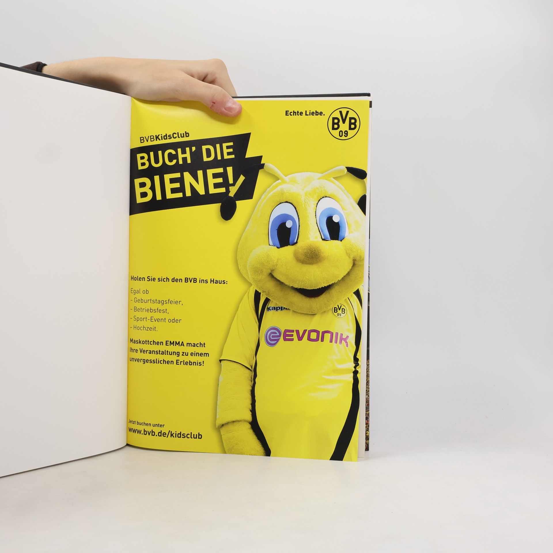 Borussia Dortmund Jahrbuch 2011/2012