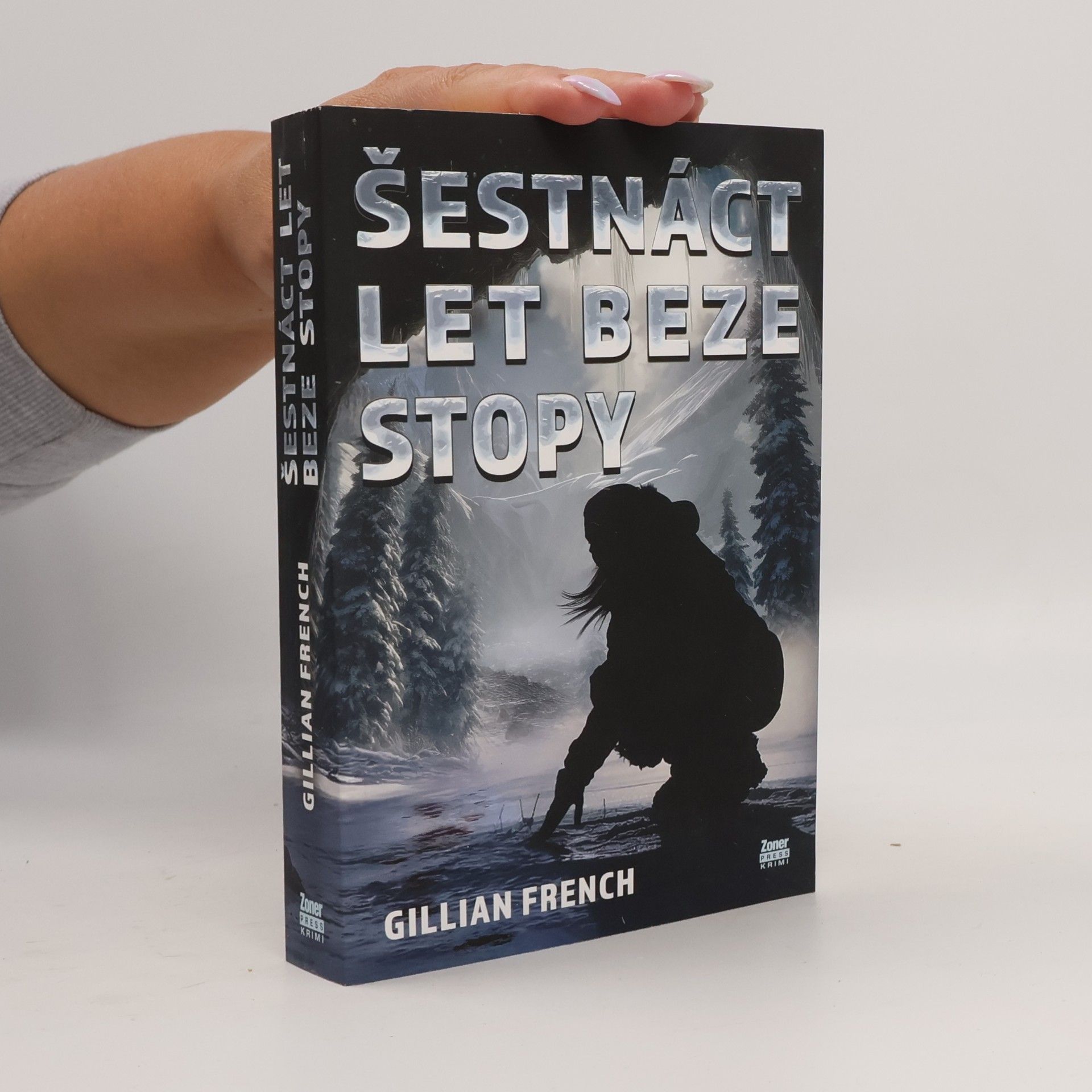 Šestnáct let beze stopy