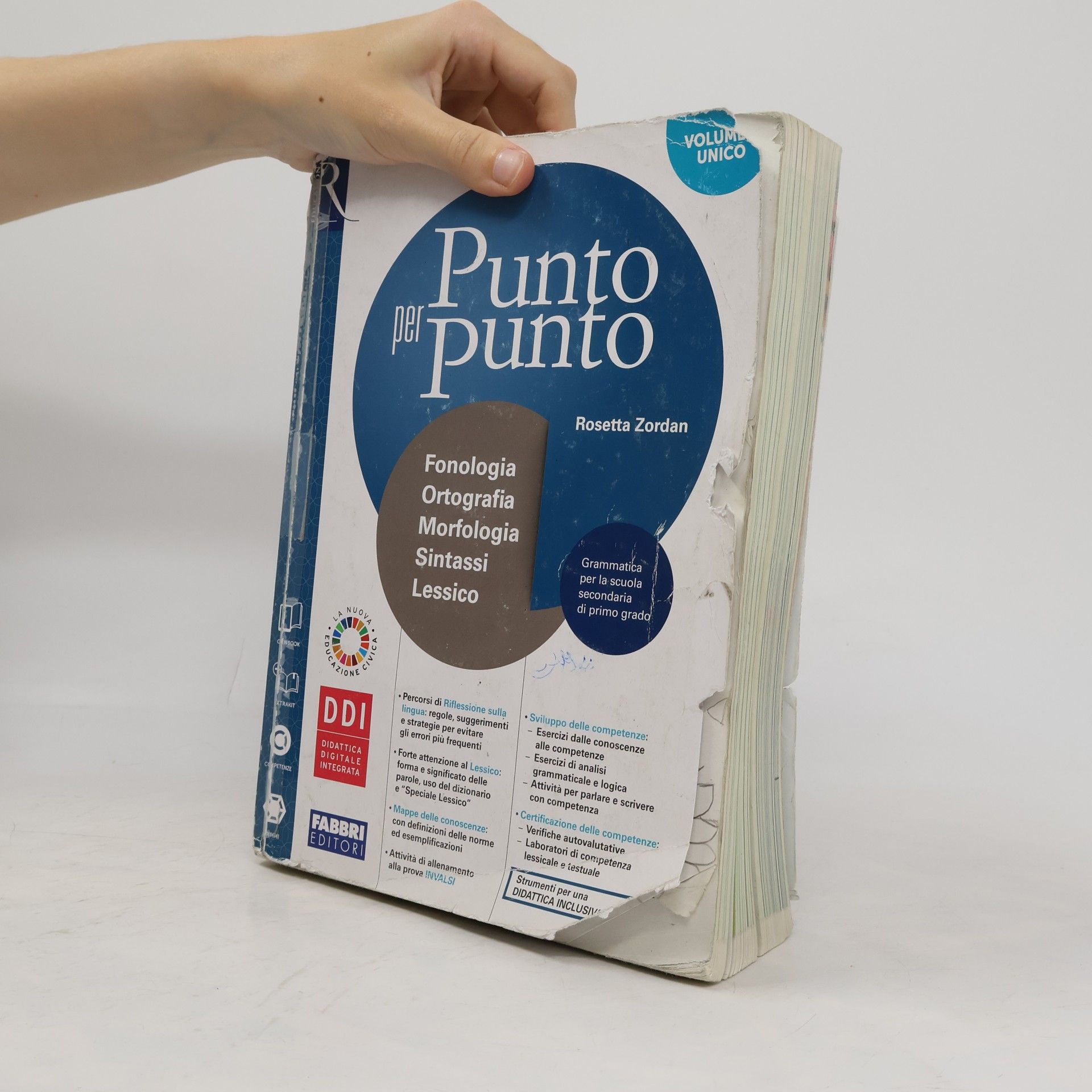 Rosetta Zordan Punto per punto