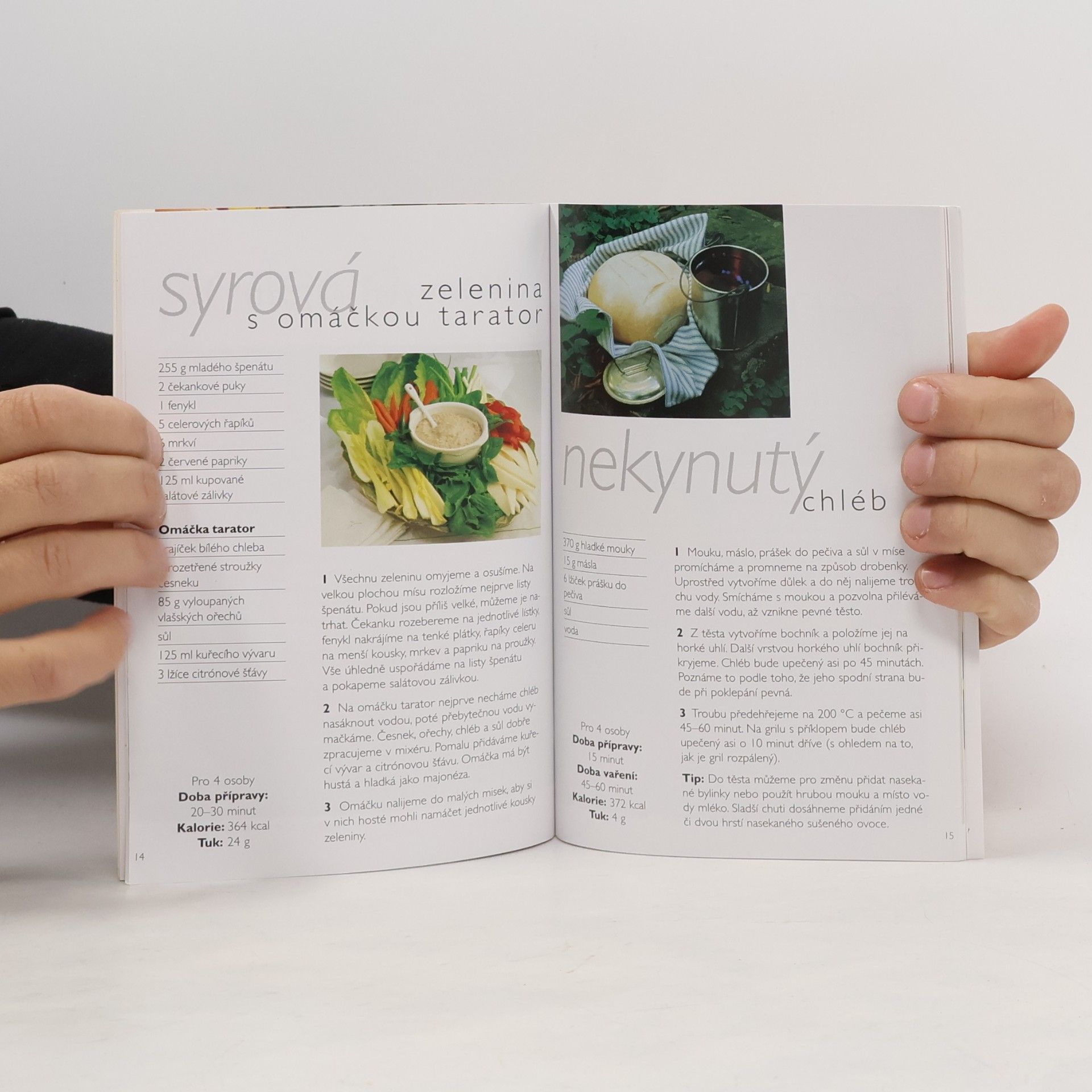 Kolektiv autorů Lehká letní jídla rychle & chutně