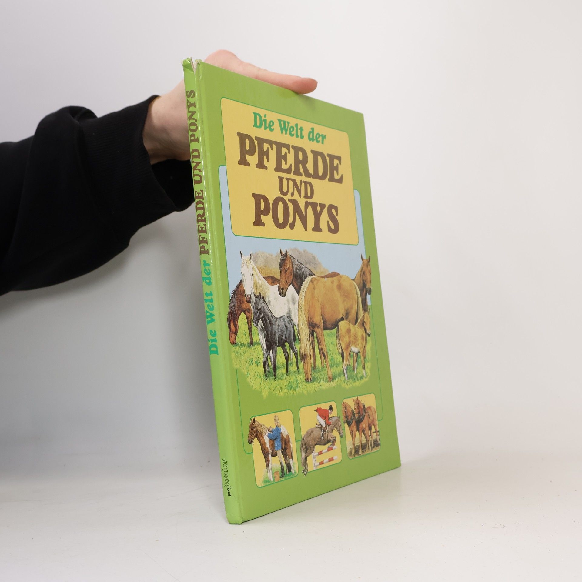 Die Welt der Pferde und Ponys