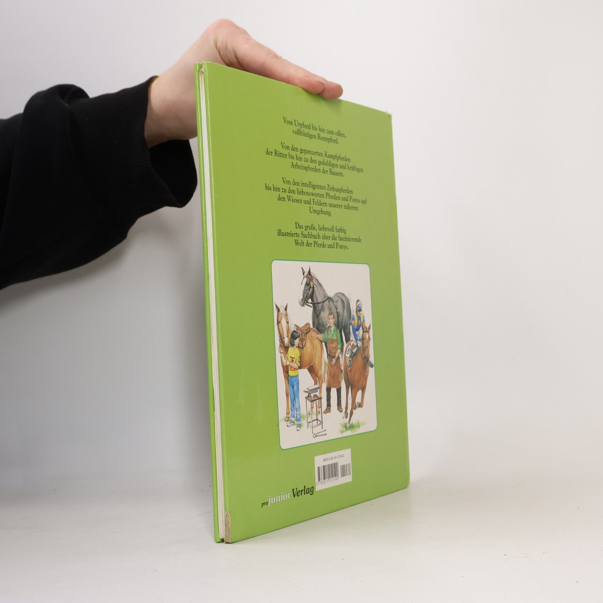 Maureen Spurgeon Die Welt der Pferde und Ponys