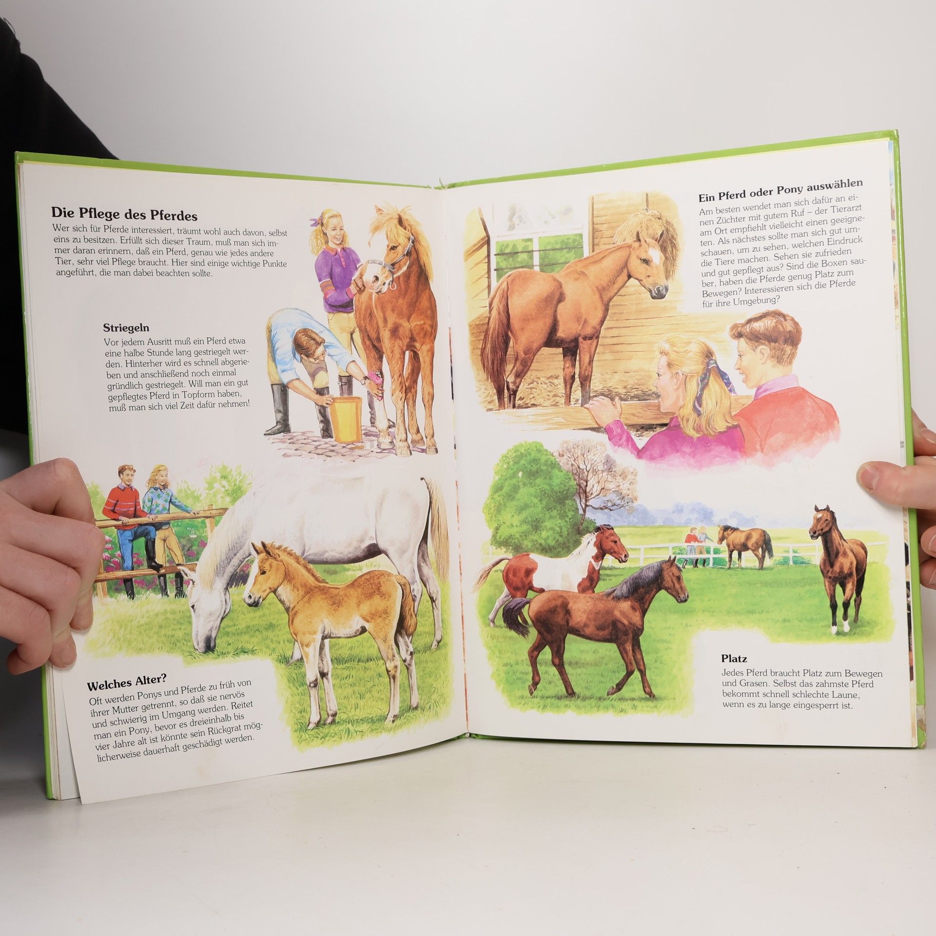 Maureen Spurgeon Die Welt der Pferde und Ponys