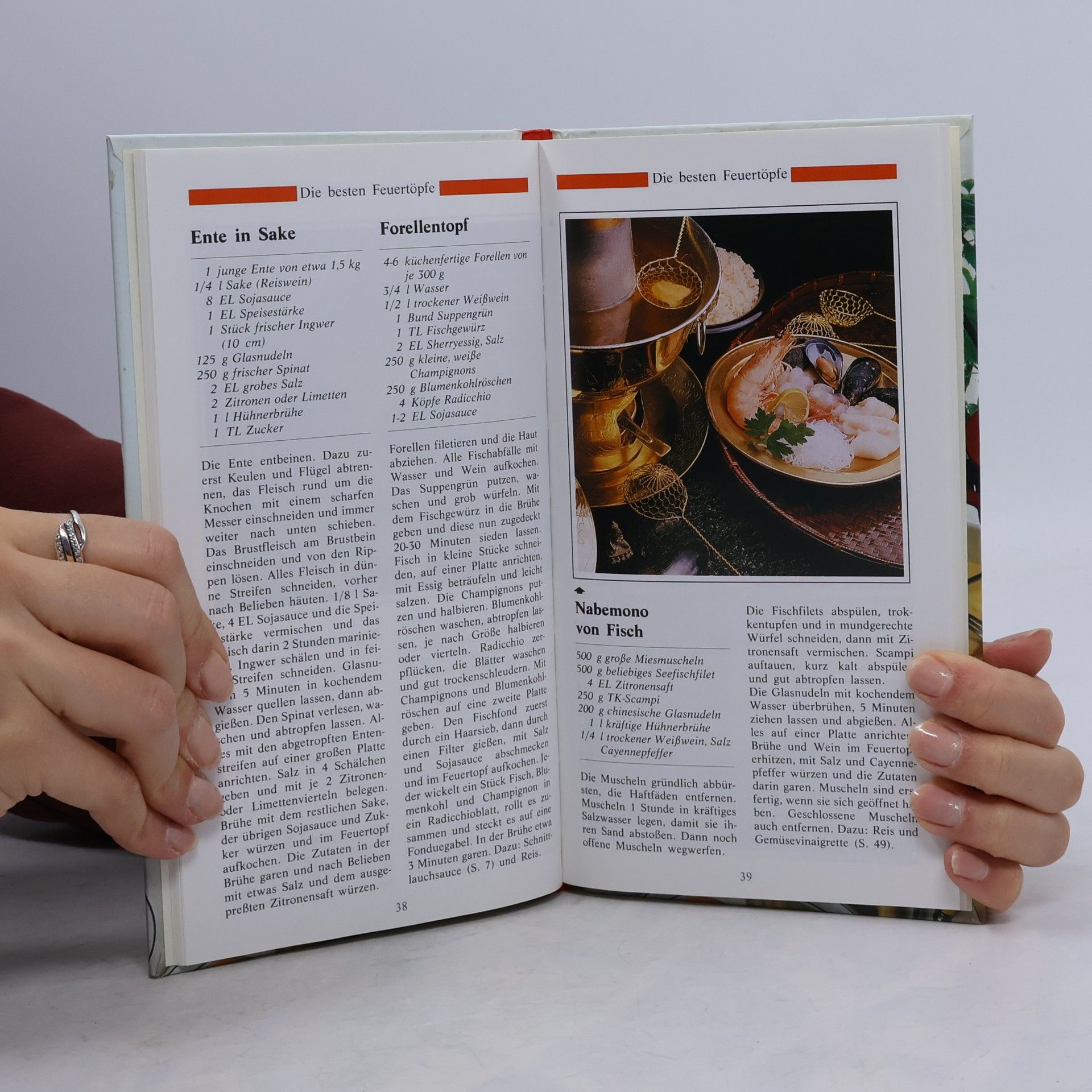 Kolektív autorov Fondues und Raclettes