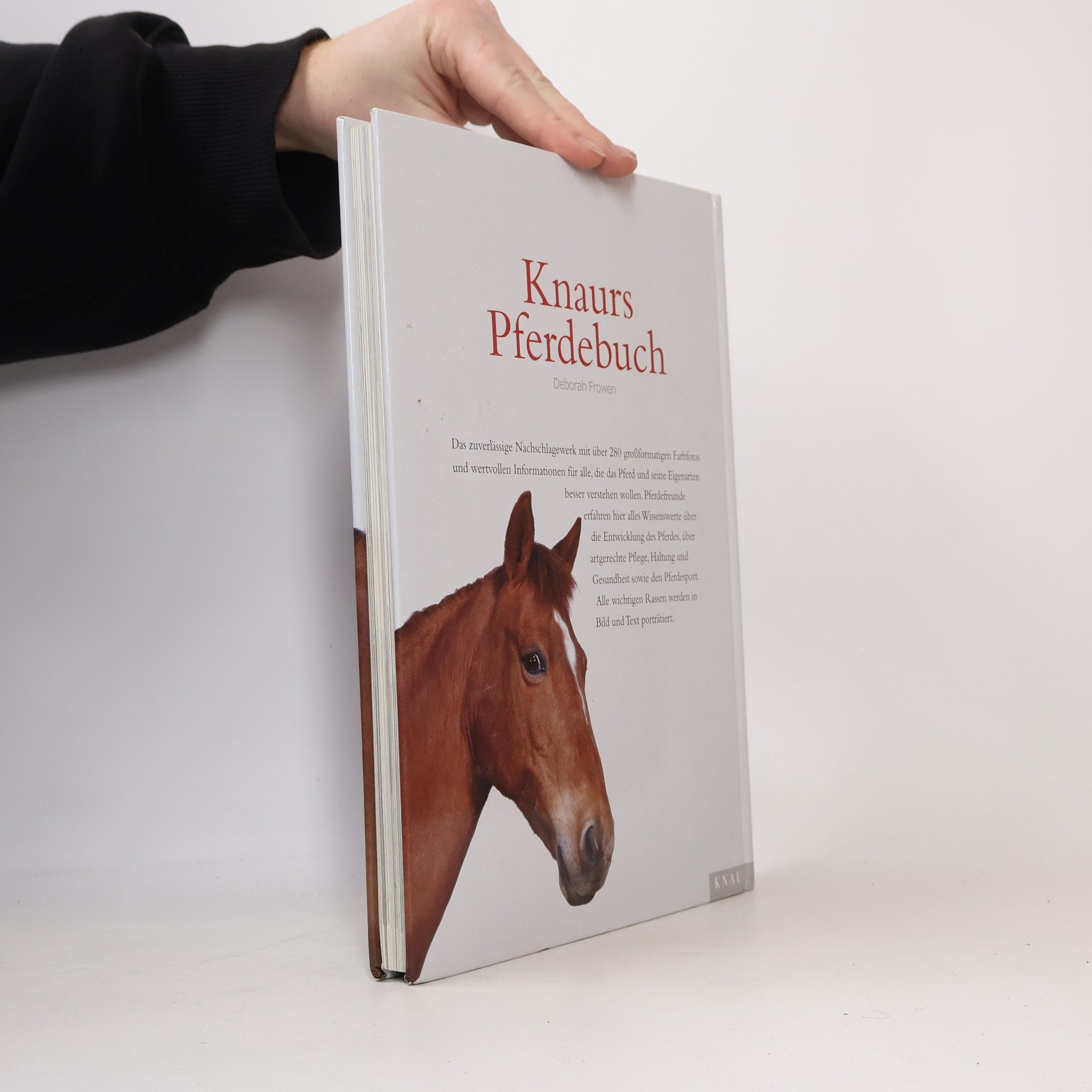 Deborah Frowen Knaurs Pferdebuch