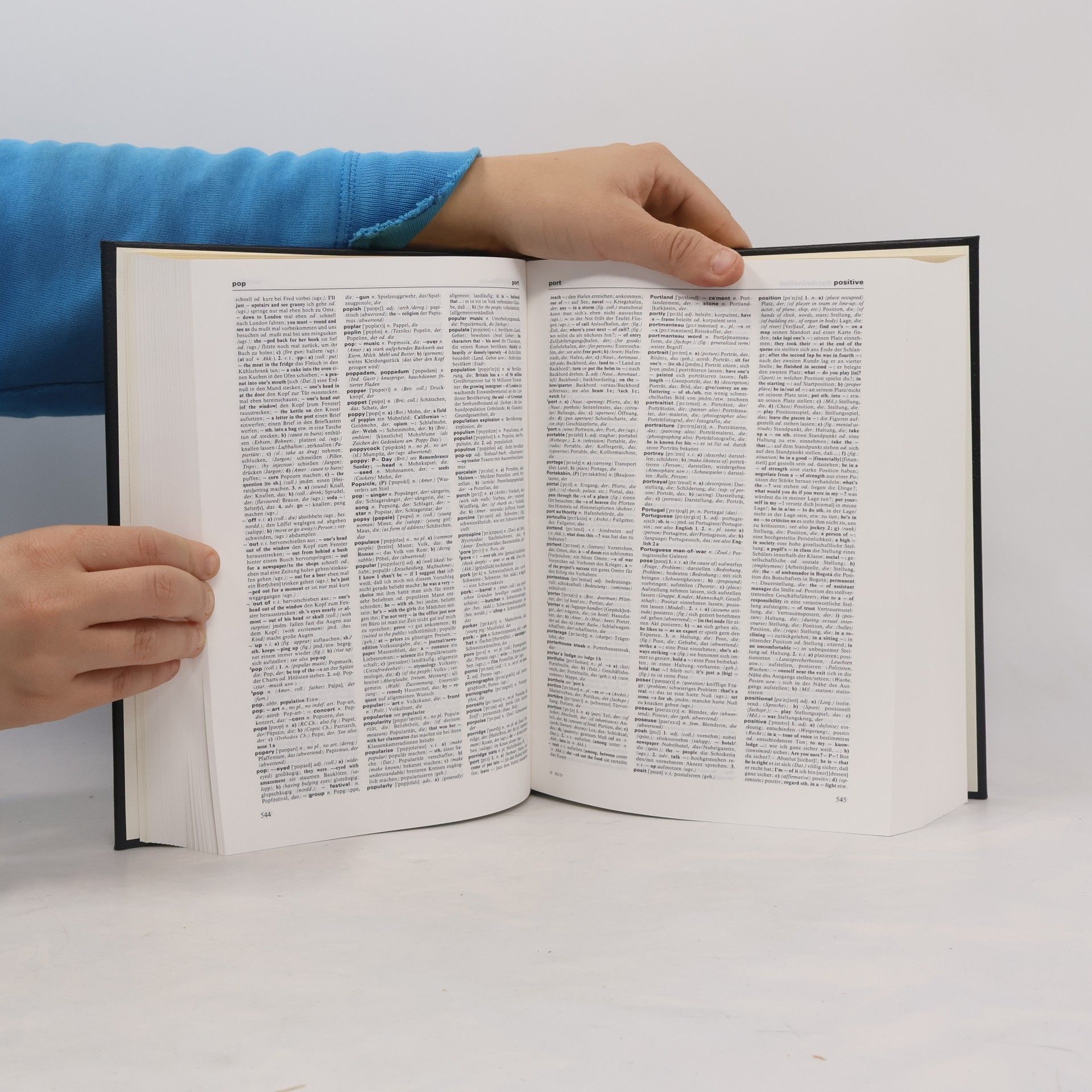 Werner Scholze Stubenrecht Brockhaus Enzyklopädie. Band 29, Wörterbuch Englisch : Englisch-Deutsch, Deutsch-Englisch