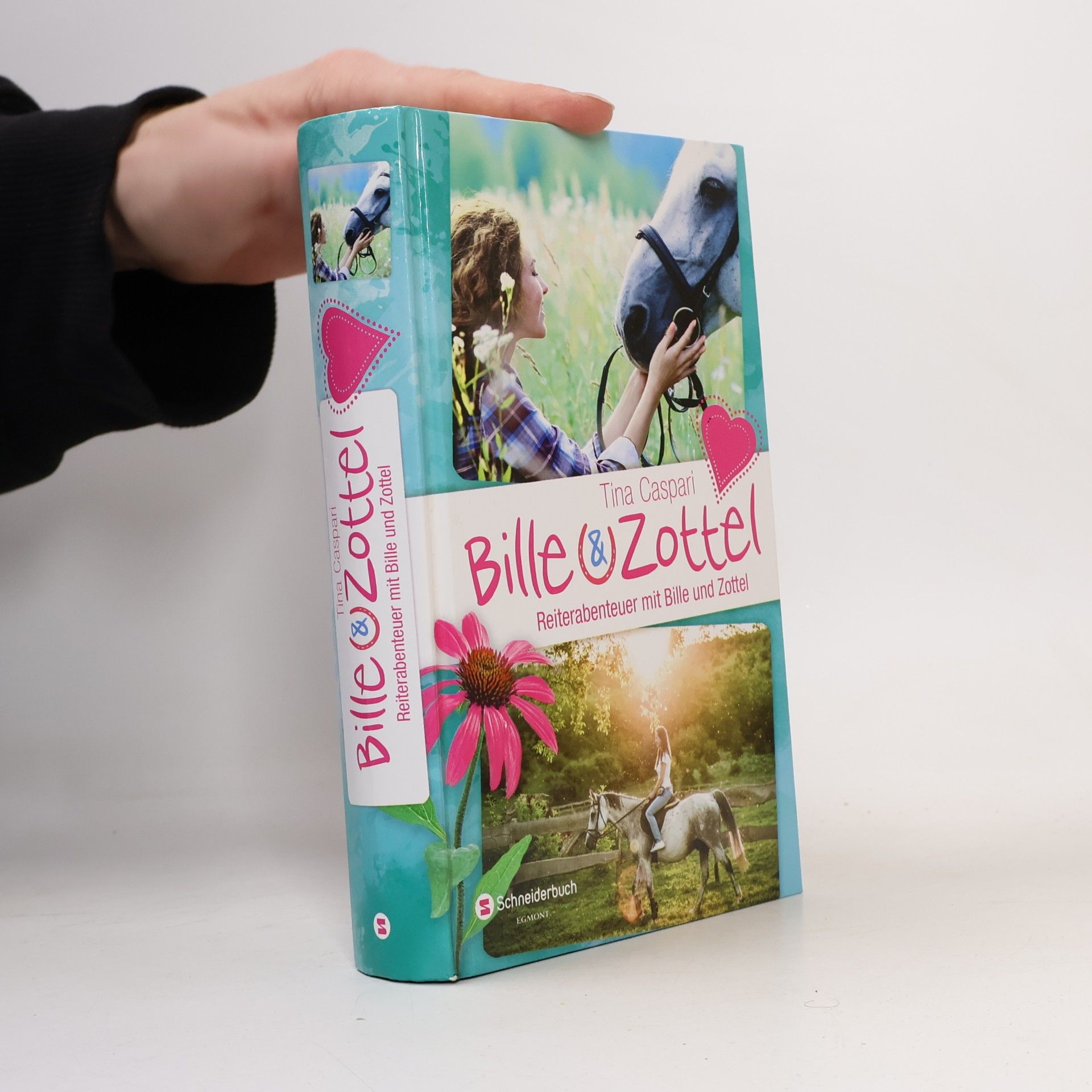 Reiterabenteuer mit Bille und Zottel