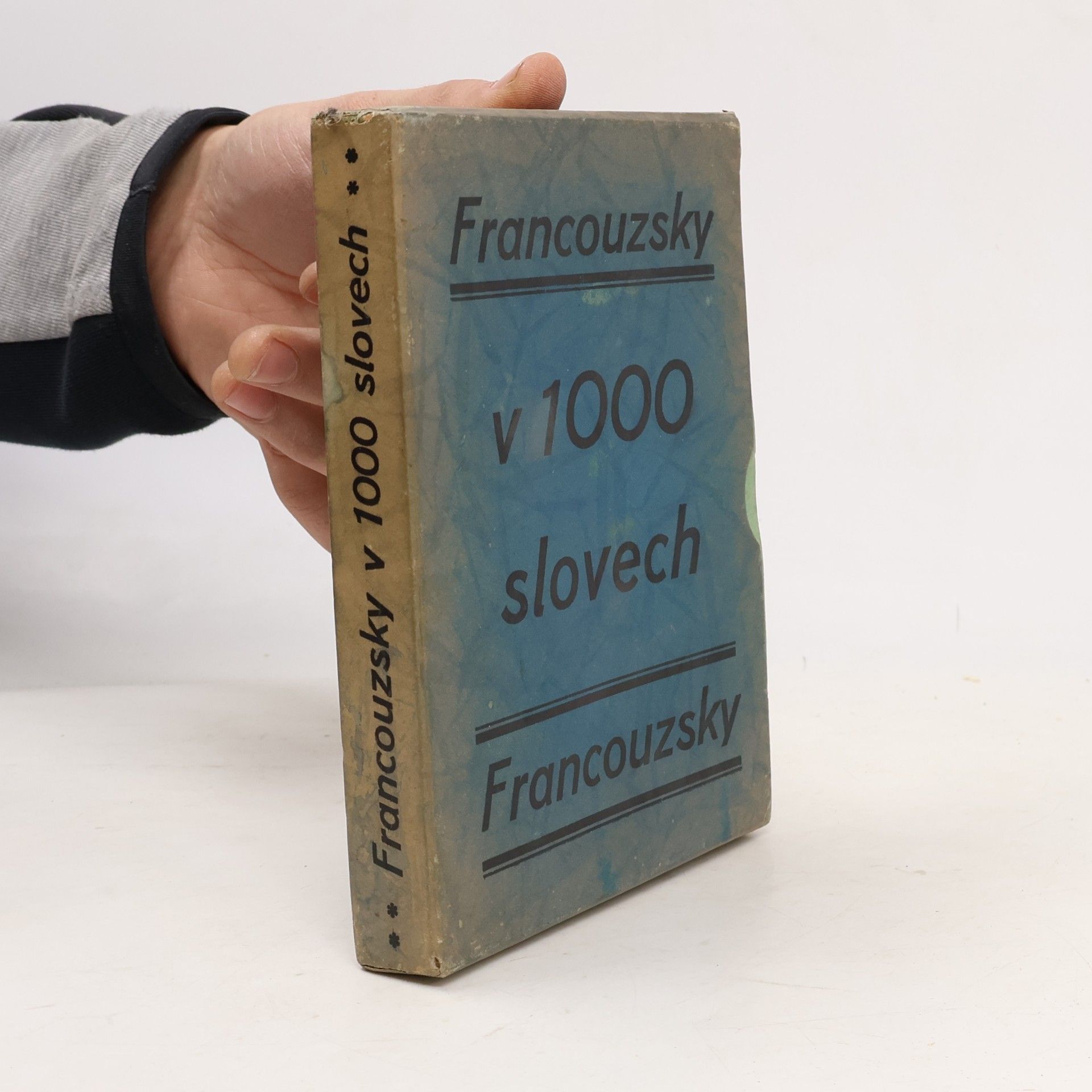 Francouzsky v 1000 slovech