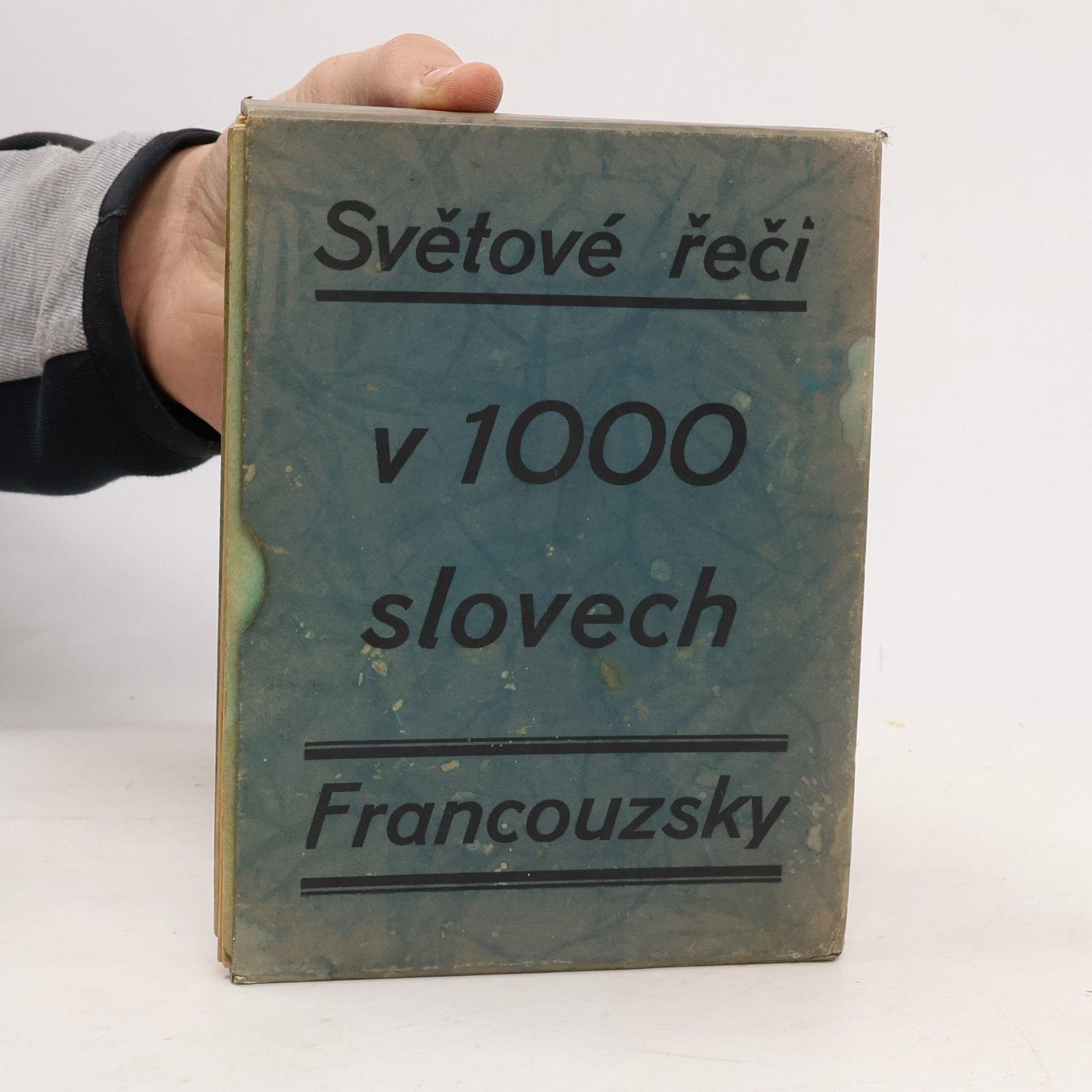 Ch. Bouchholtz Francouzsky v 1000 slovech