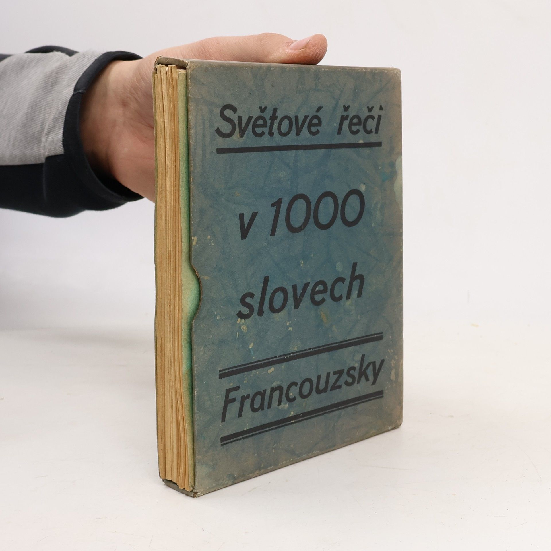 Ch. Bouchholtz Francouzsky v 1000 slovech