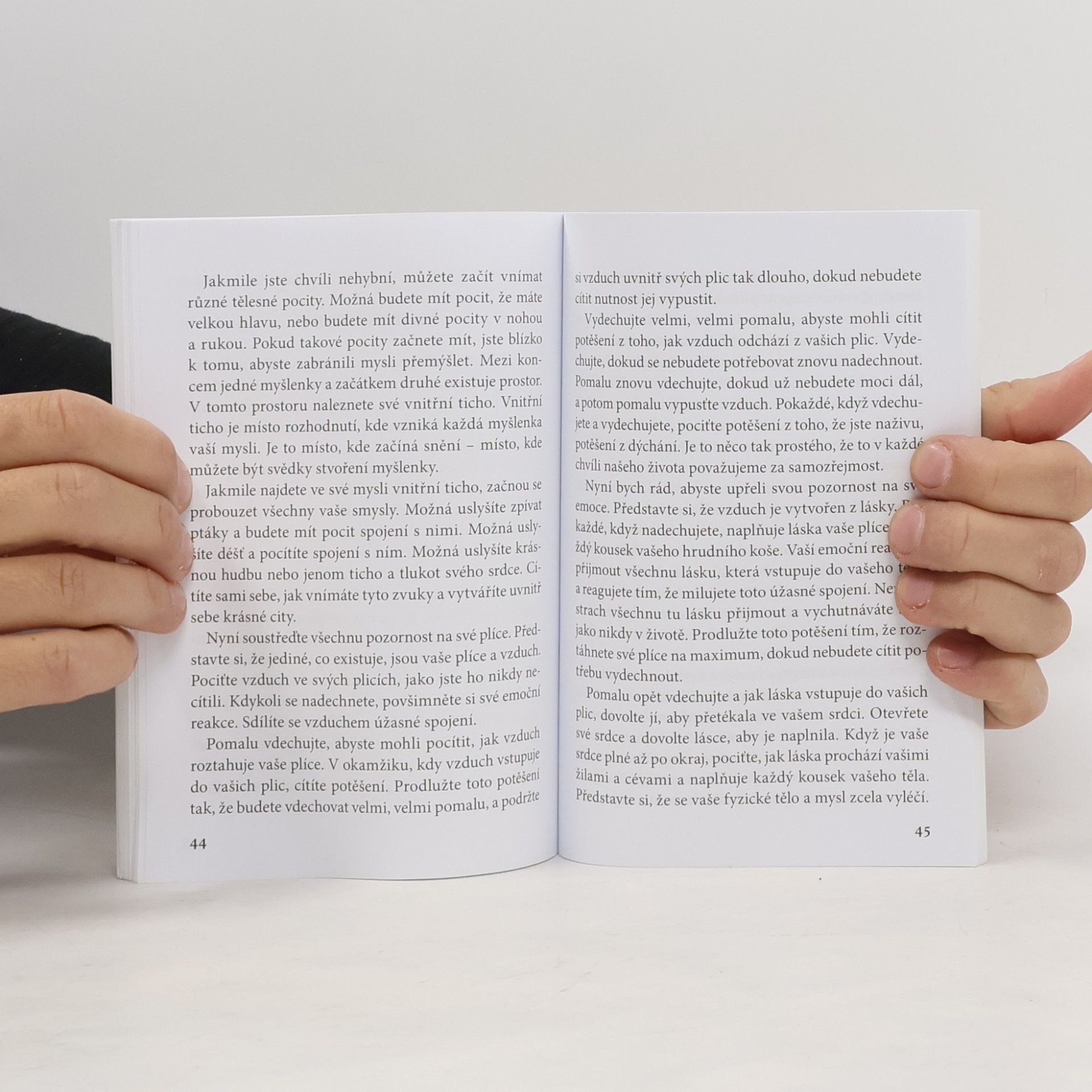 Don Miguel Ruiz Čtyři dohody. Modlitby
