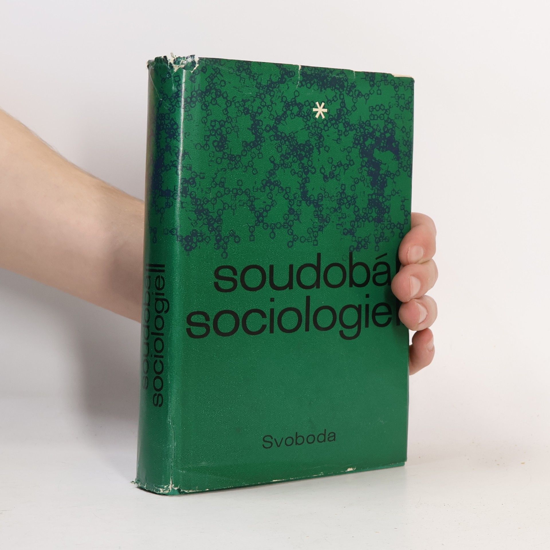 Soudobá sociologie 2: Teorie průmyslových společností