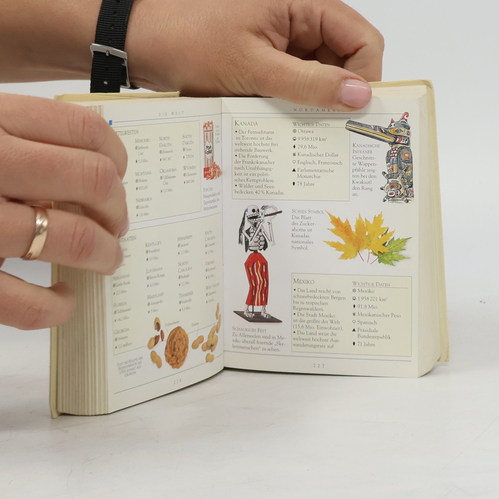 Autorenkollektiv Der Taschen Brockhaus