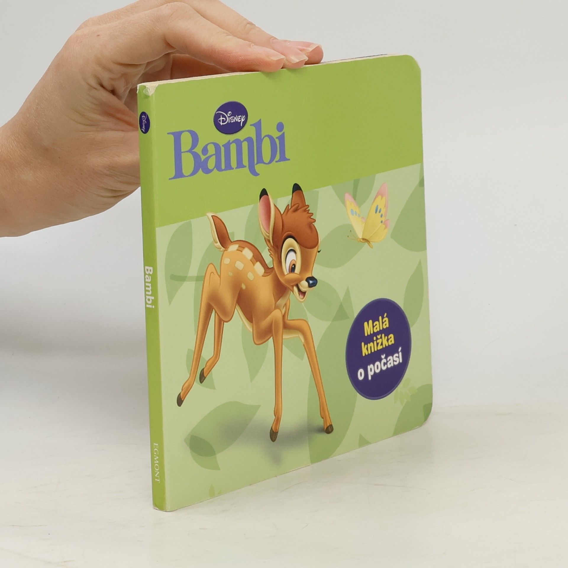 Kolektiv autorů Bambi. Malá knižka o počasí