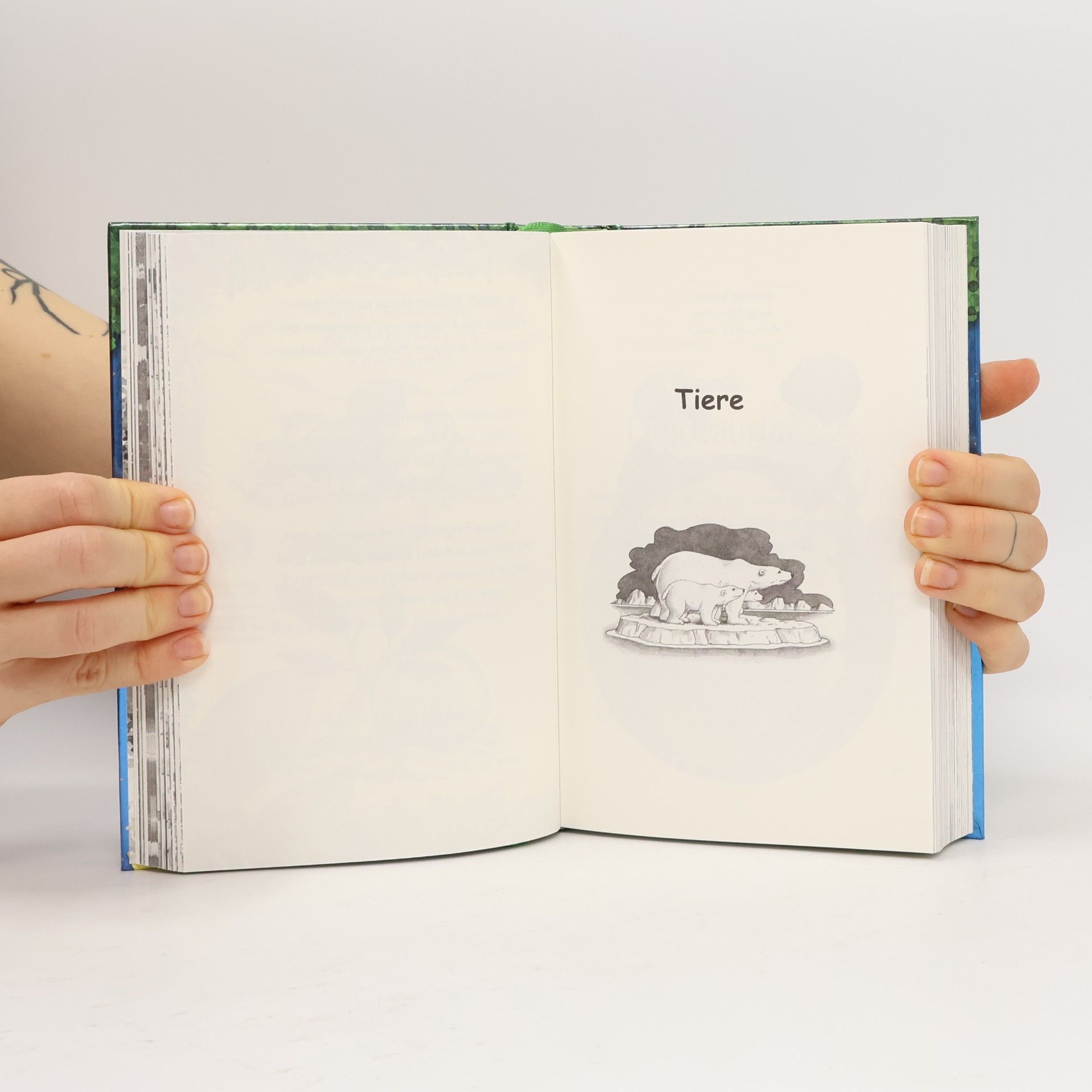 Mary Pope Osborne Das magische Baumhaus - das große Forscherhandbuch