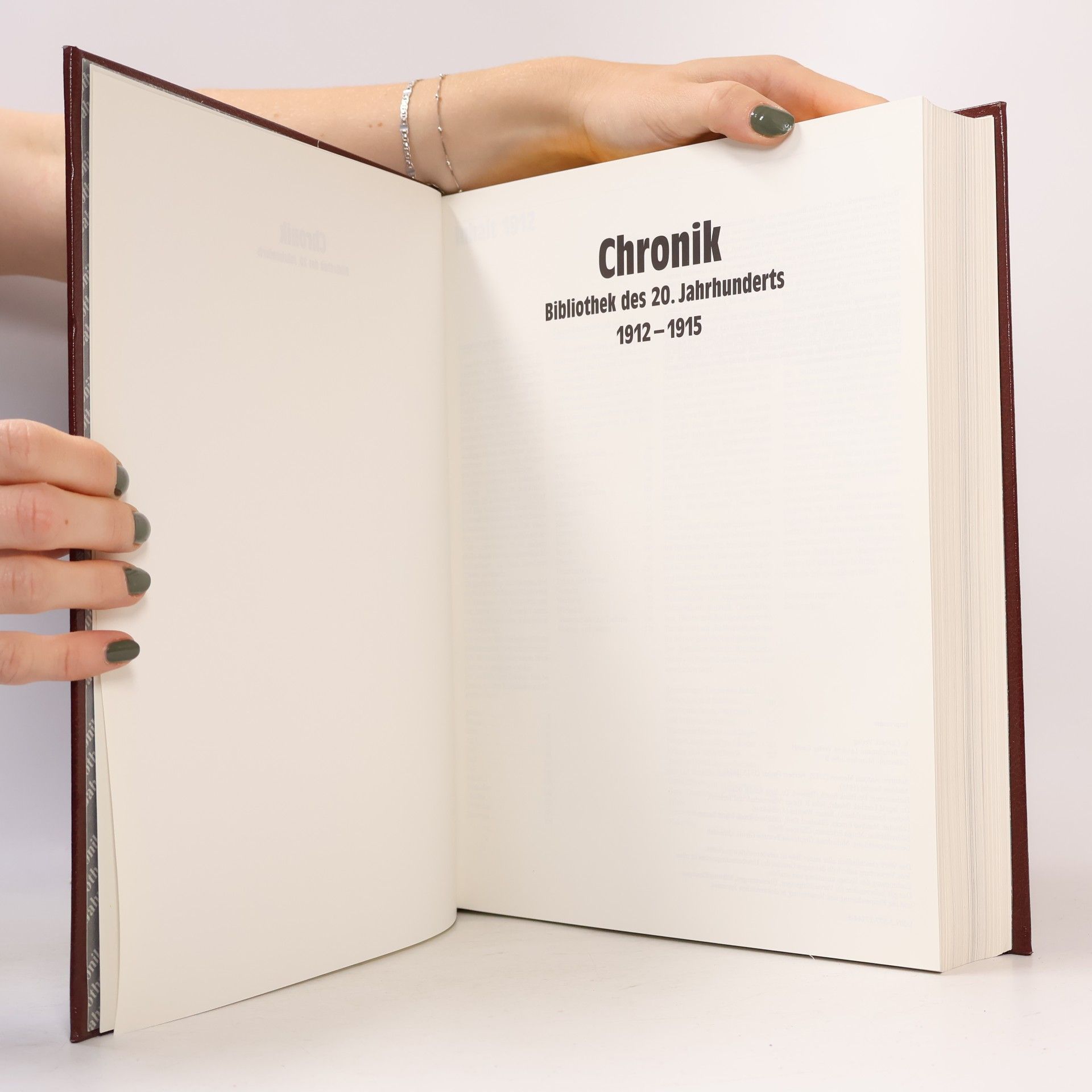 Autorenkollektiv Chronik. Bibliothek des 20. Jahrhunderts 4. 1912 - 1915