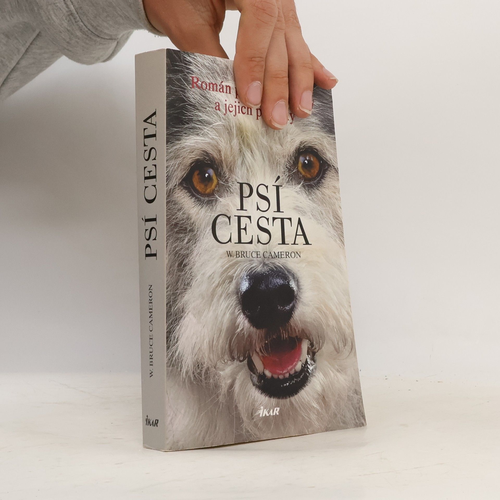 W. Bruce Cameron Psí cesta