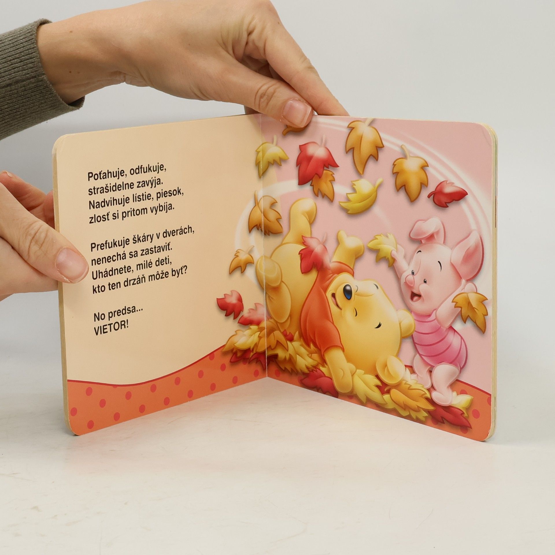Walt Disney Enterprises Disney: Máme radi každé počasie - Macko Puf