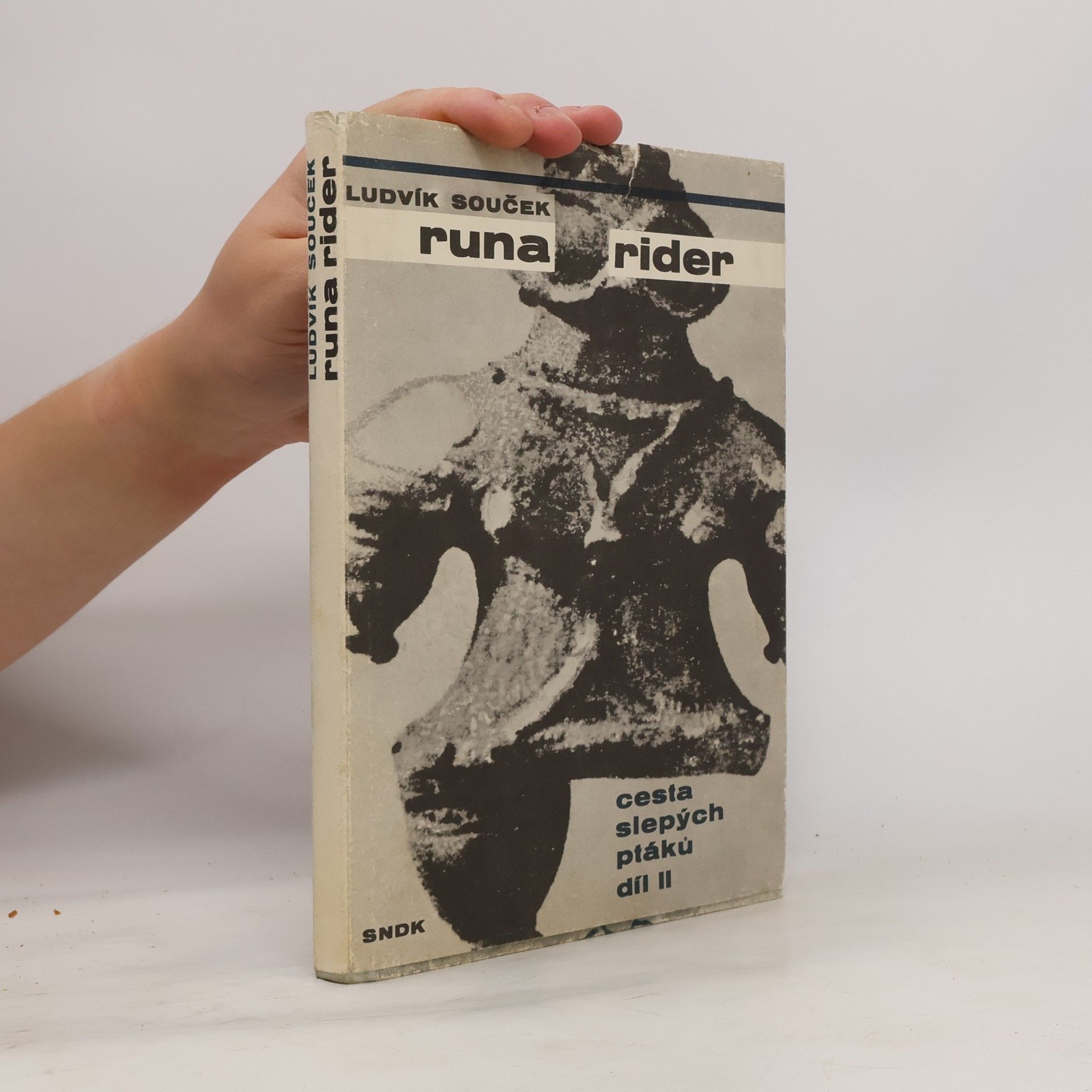 Runa rider. Cesta slepých ptáků II