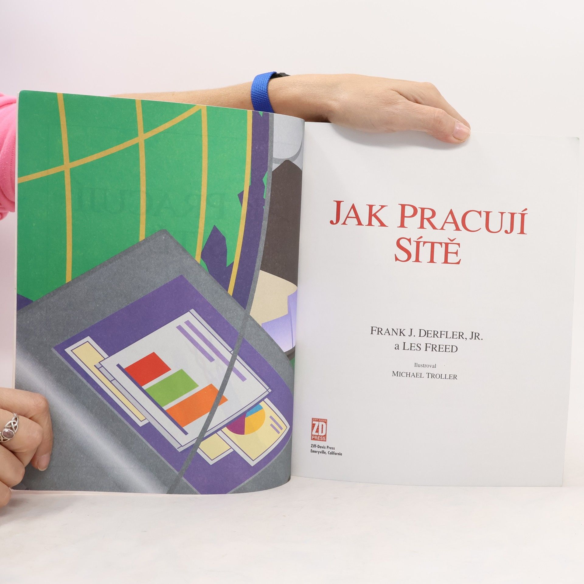 Frank J. Derfler Jak pracují sítě