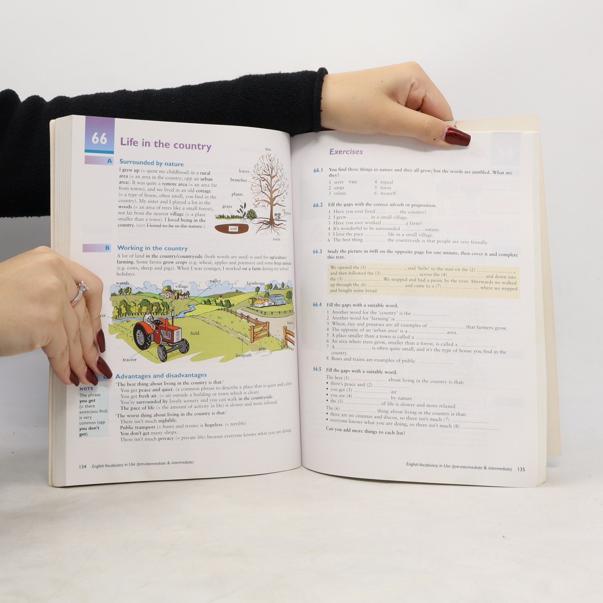 Stuart Redman English vocabulary in use : pre-intermediate and intermediate