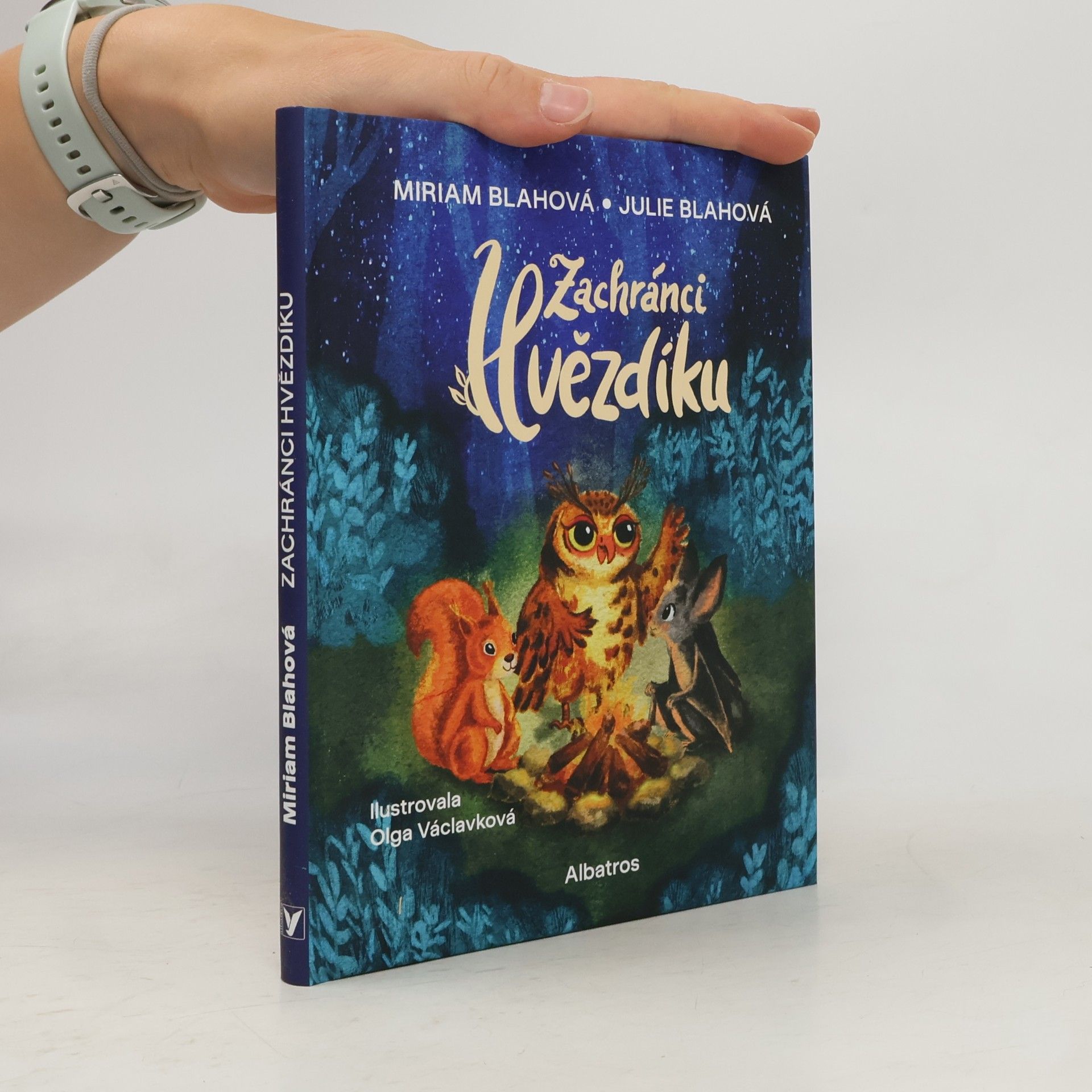 Zachránci Hvězdíku